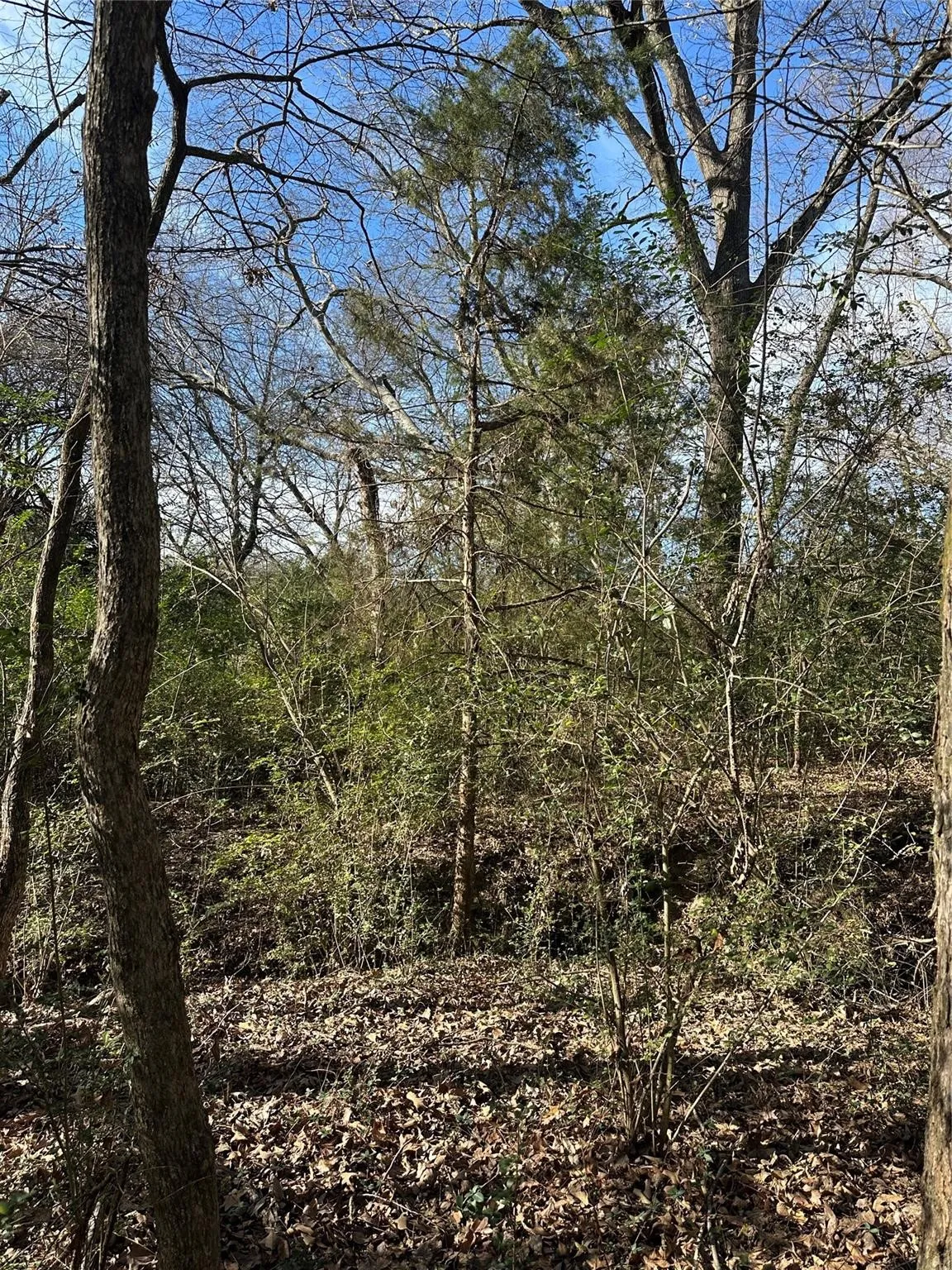 Unimproved Land For Sale in Hopkins County , 0000 County Road 2324, Como, Texas 75431, 0, 0, Garage spaces, 0 Sqft, built in 0, mls#21335124, Real Estate Agent in Como, Homes For Sale in Hopkins county, Homes For Sale in Como, Realtor in Como Texas, Real Estate Brokerage Independent Realty Texas, Luminita Cordes Realtor