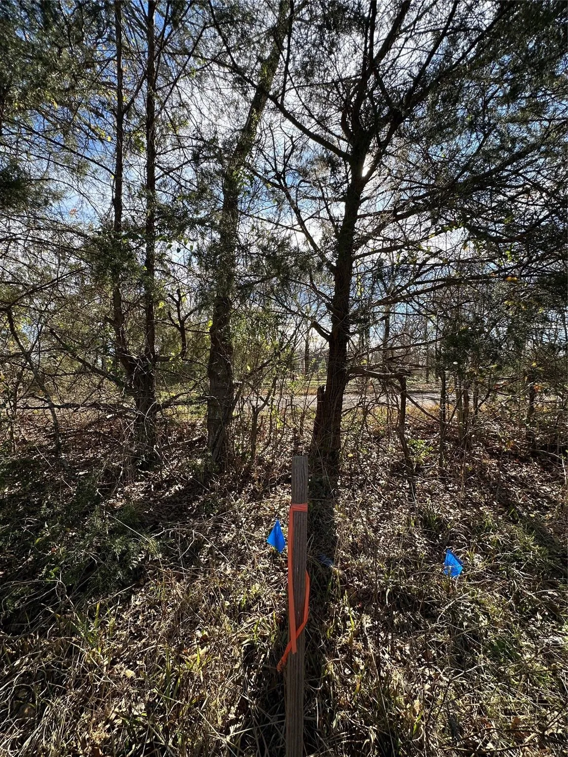 Unimproved Land For Sale in Hopkins County , 0000 County Road 2324, Como, Texas 75431, 0, 0, Garage spaces, 0 Sqft, built in 0, mls#21335124, Real Estate Agent in Como, Homes For Sale in Hopkins county, Homes For Sale in Como, Realtor in Como Texas, Real Estate Brokerage Independent Realty Texas, Luminita Cordes Realtor