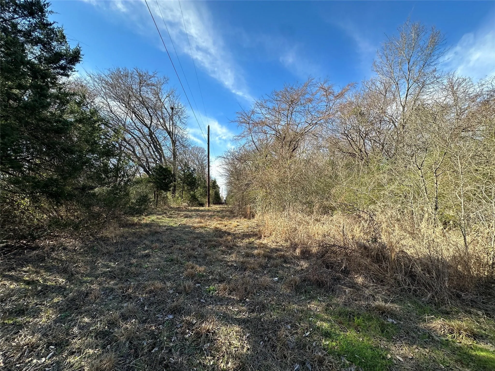 Unimproved Land For Sale in Hopkins County , 0000 County Road 2324, Como, Texas 75431, 0, 0, Garage spaces, 0 Sqft, built in 0, mls#21335124, Real Estate Agent in Como, Homes For Sale in Hopkins county, Homes For Sale in Como, Realtor in Como Texas, Real Estate Brokerage Independent Realty Texas, Luminita Cordes Realtor
