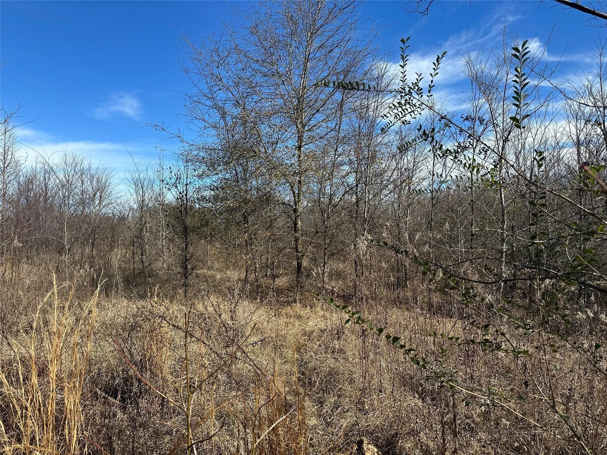 Unimproved Land For Sale in Hopkins County , 0000 County Road 2324, Como, Texas 75431, 0, 0, Garage spaces, 0 Sqft, built in 0, mls#21335124, Real Estate Agent in Como, Homes For Sale in Hopkins county, Homes For Sale in Como, Realtor in Como Texas, Real Estate Brokerage Independent Realty Texas, Luminita Cordes Realtor