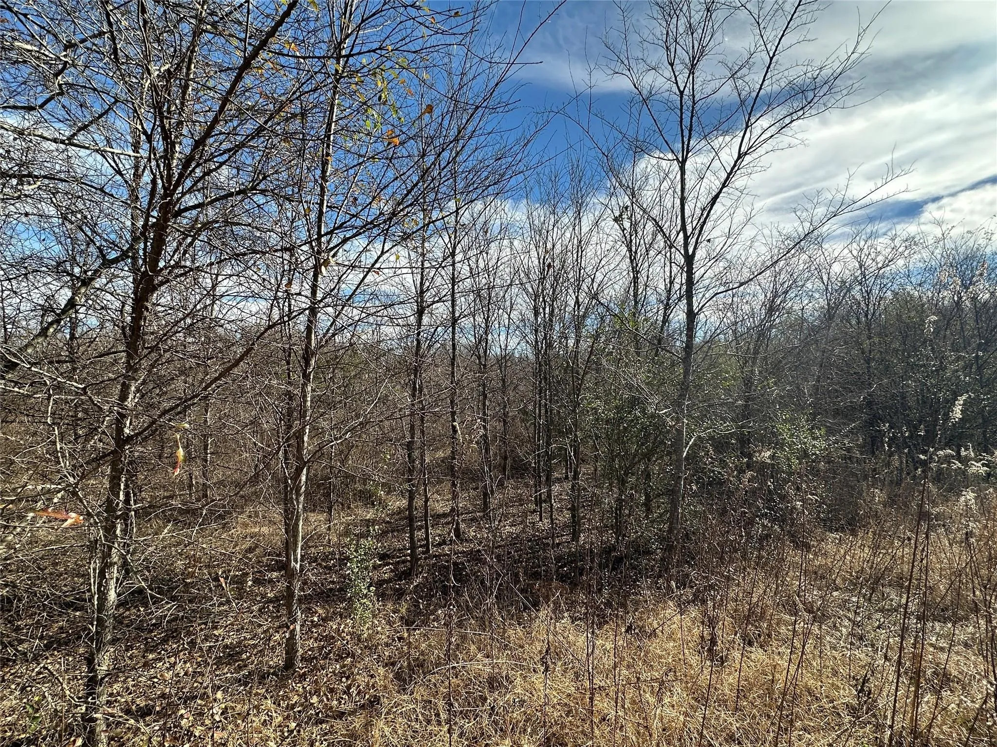 Unimproved Land For Sale in Hopkins County , 0000 County Road 2324, Como, Texas 75431, 0, 0, Garage spaces, 0 Sqft, built in 0, mls#21335124, Real Estate Agent in Como, Homes For Sale in Hopkins county, Homes For Sale in Como, Realtor in Como Texas, Real Estate Brokerage Independent Realty Texas, Luminita Cordes Realtor
