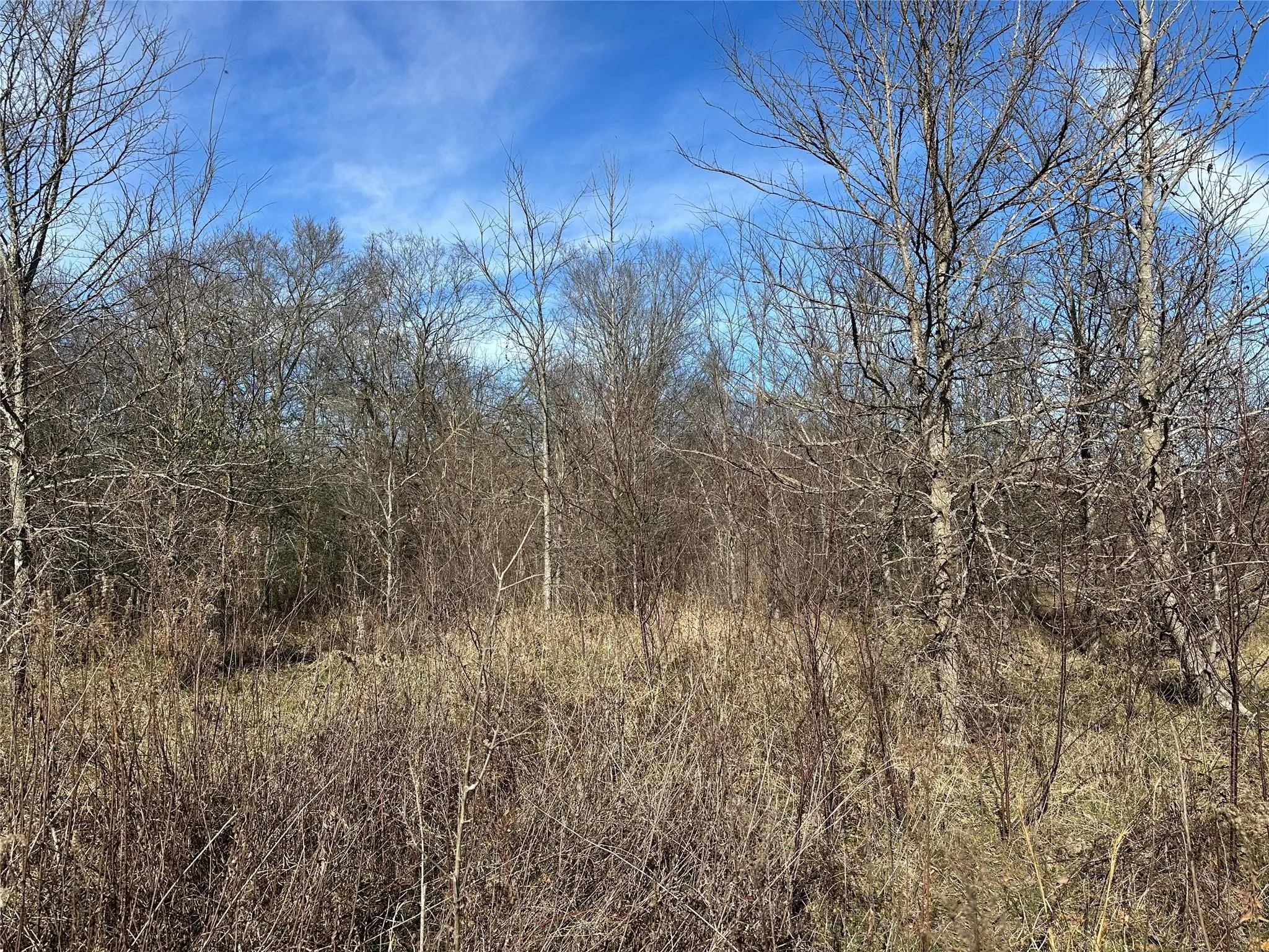 Unimproved Land For Sale in Hopkins County , 0000 County Road 2324, Como, Texas 75431, 0, 0, Garage spaces, 0 Sqft, built in 0, mls#21335124, Real Estate Agent in Como, Homes For Sale in Hopkins county, Homes For Sale in Como, Realtor in Como Texas, Real Estate Brokerage Independent Realty Texas, Luminita Cordes Realtor