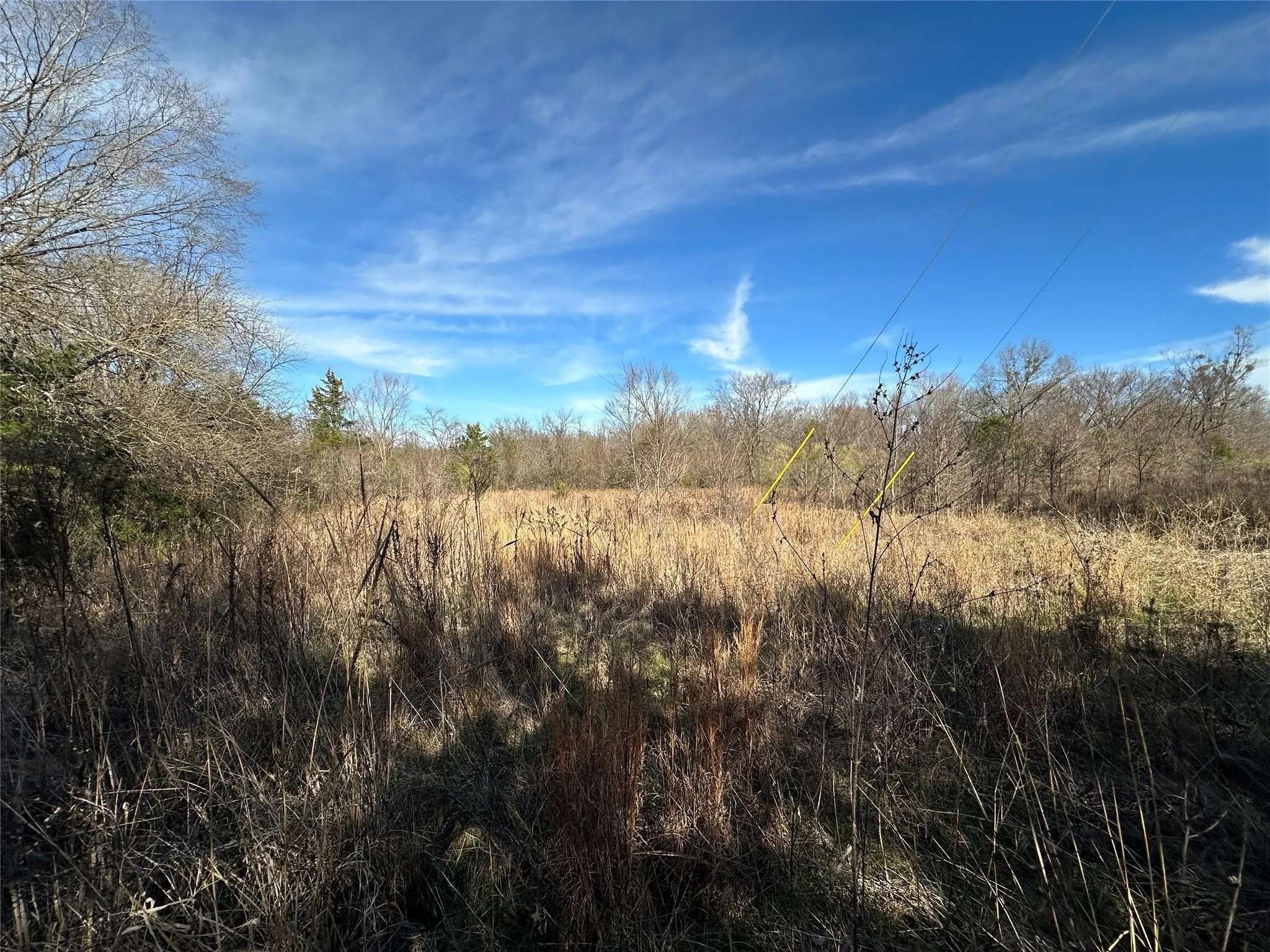 Unimproved Land For Sale in Hopkins County , 0000 County Road 2324, Como, Texas 75431, 0, 0, Garage spaces, 0 Sqft, built in 0, mls#21335124, Real Estate Agent in Como, Homes For Sale in Hopkins county, Homes For Sale in Como, Realtor in Como Texas, Real Estate Brokerage Independent Realty Texas, Luminita Cordes Realtor