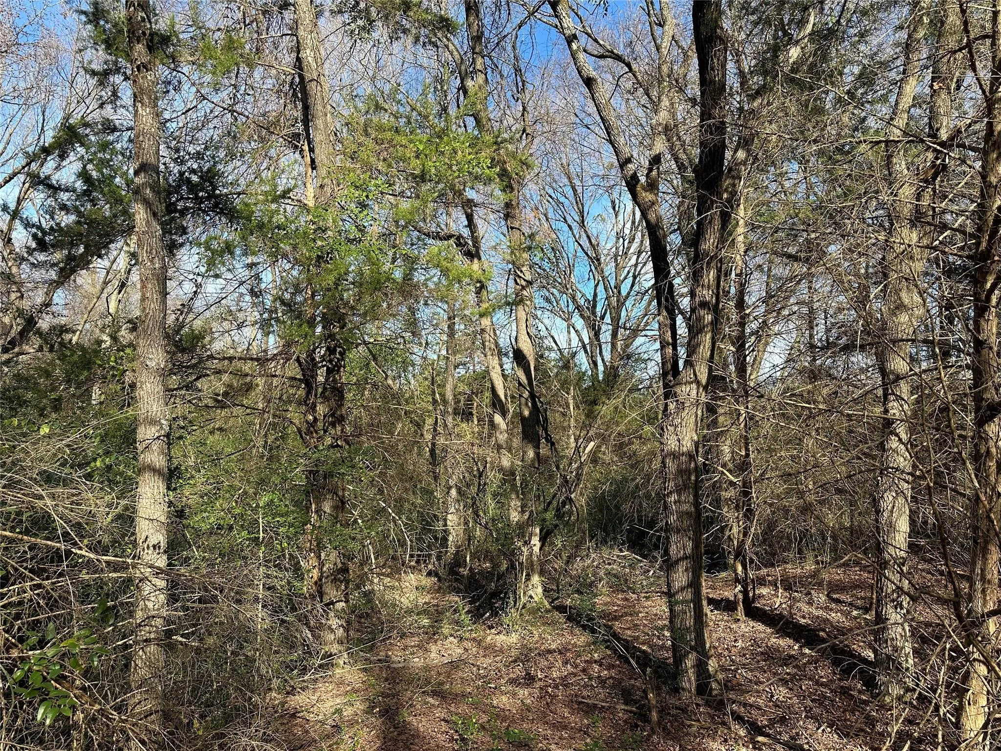 Unimproved Land For Sale in Hopkins County , 0000 County Road 2324, Como, Texas 75431, 0, 0, Garage spaces, 0 Sqft, built in 0, mls#21335124, Real Estate Agent in Como, Homes For Sale in Hopkins county, Homes For Sale in Como, Realtor in Como Texas, Real Estate Brokerage Independent Realty Texas, Luminita Cordes Realtor