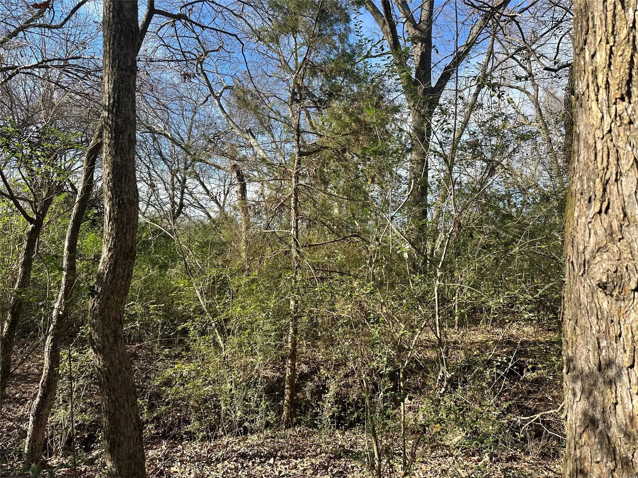 Unimproved Land For Sale in Hopkins County , 0000 County Road 2324, Como, Texas 75431, 0, 0, Garage spaces, 0 Sqft, built in 0, mls#21335124, Real Estate Agent in Como, Homes For Sale in Hopkins county, Homes For Sale in Como, Realtor in Como Texas, Real Estate Brokerage Independent Realty Texas, Luminita Cordes Realtor