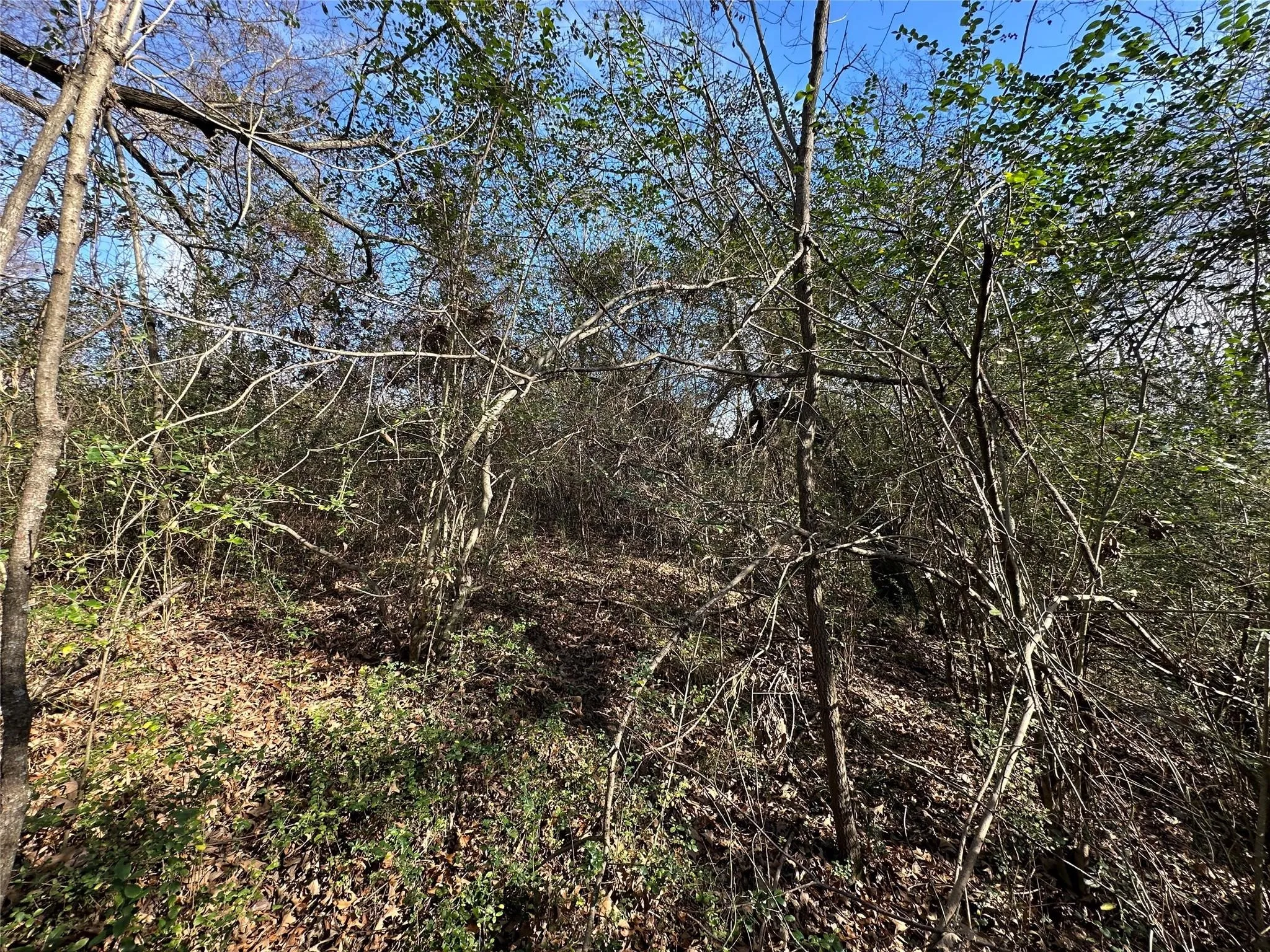 Unimproved Land For Sale in Hopkins County , 0000 County Road 2324, Como, Texas 75431, 0, 0, Garage spaces, 0 Sqft, built in 0, mls#21335124, Real Estate Agent in Como, Homes For Sale in Hopkins county, Homes For Sale in Como, Realtor in Como Texas, Real Estate Brokerage Independent Realty Texas, Luminita Cordes Realtor