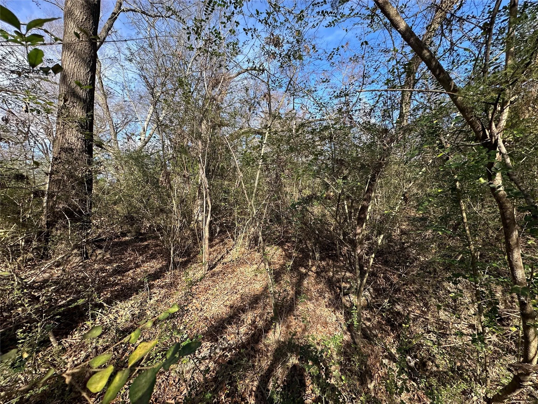 Unimproved Land For Sale in Hopkins County , 0000 County Road 2324, Como, Texas 75431, 0, 0, Garage spaces, 0 Sqft, built in 0, mls#21335124, Real Estate Agent in Como, Homes For Sale in Hopkins county, Homes For Sale in Como, Realtor in Como Texas, Real Estate Brokerage Independent Realty Texas, Luminita Cordes Realtor