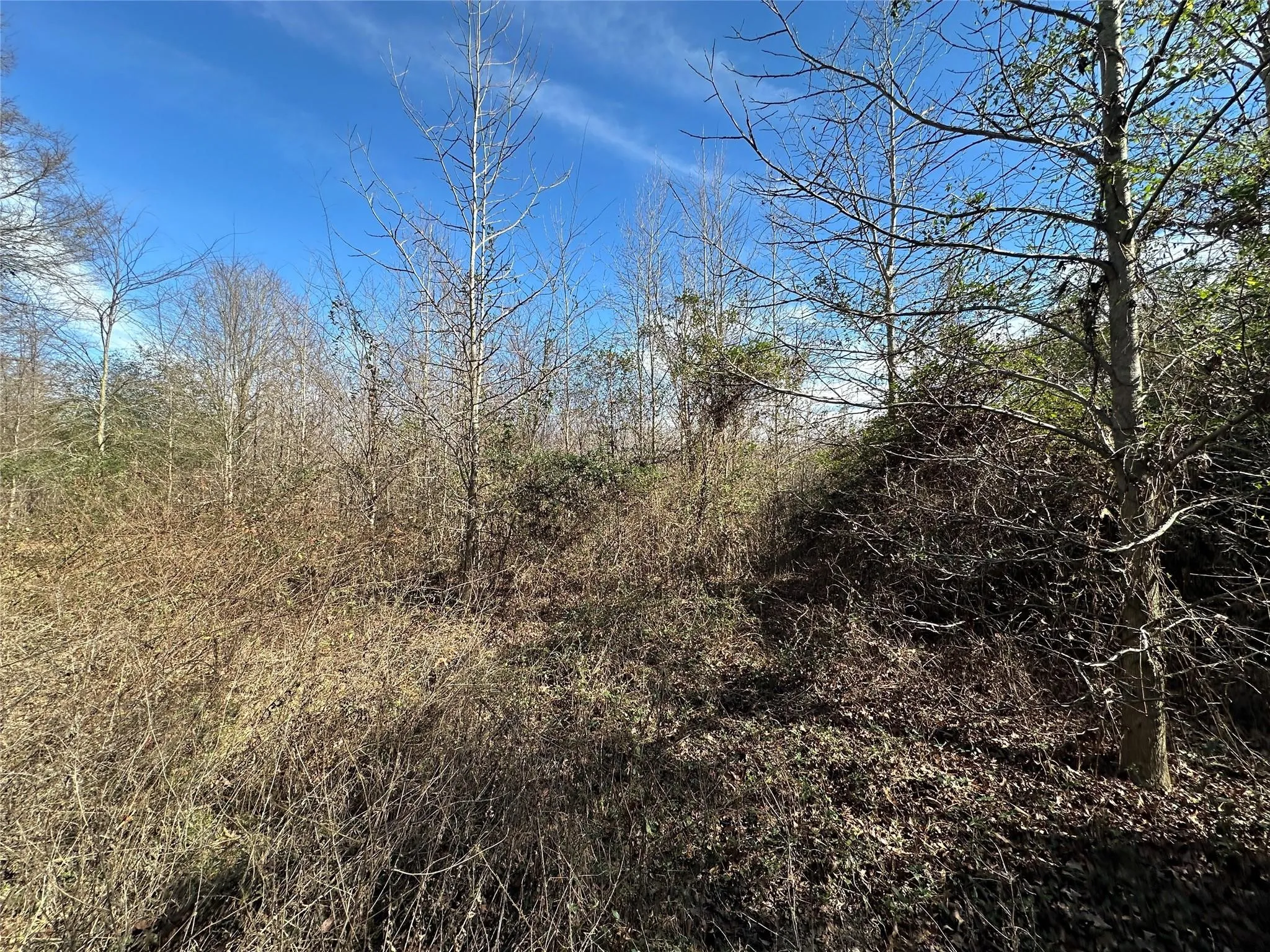 Unimproved Land For Sale in Hopkins County , 0000 County Road 2324, Como, Texas 75431, 0, 0, Garage spaces, 0 Sqft, built in 0, mls#21335124, Real Estate Agent in Como, Homes For Sale in Hopkins county, Homes For Sale in Como, Realtor in Como Texas, Real Estate Brokerage Independent Realty Texas, Luminita Cordes Realtor