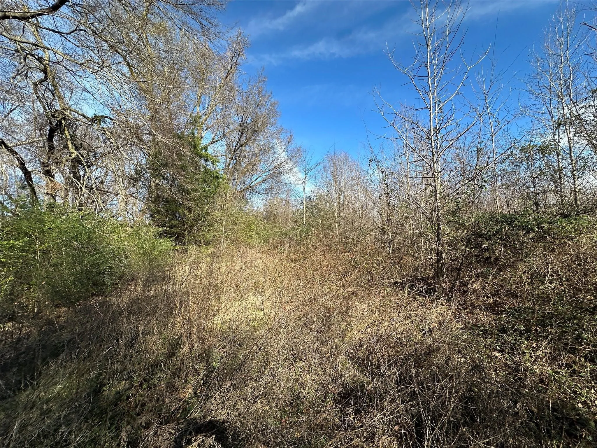 Unimproved Land For Sale in Hopkins County , 0000 County Road 2324, Como, Texas 75431, 0, 0, Garage spaces, 0 Sqft, built in 0, mls#21335124, Real Estate Agent in Como, Homes For Sale in Hopkins county, Homes For Sale in Como, Realtor in Como Texas, Real Estate Brokerage Independent Realty Texas, Luminita Cordes Realtor