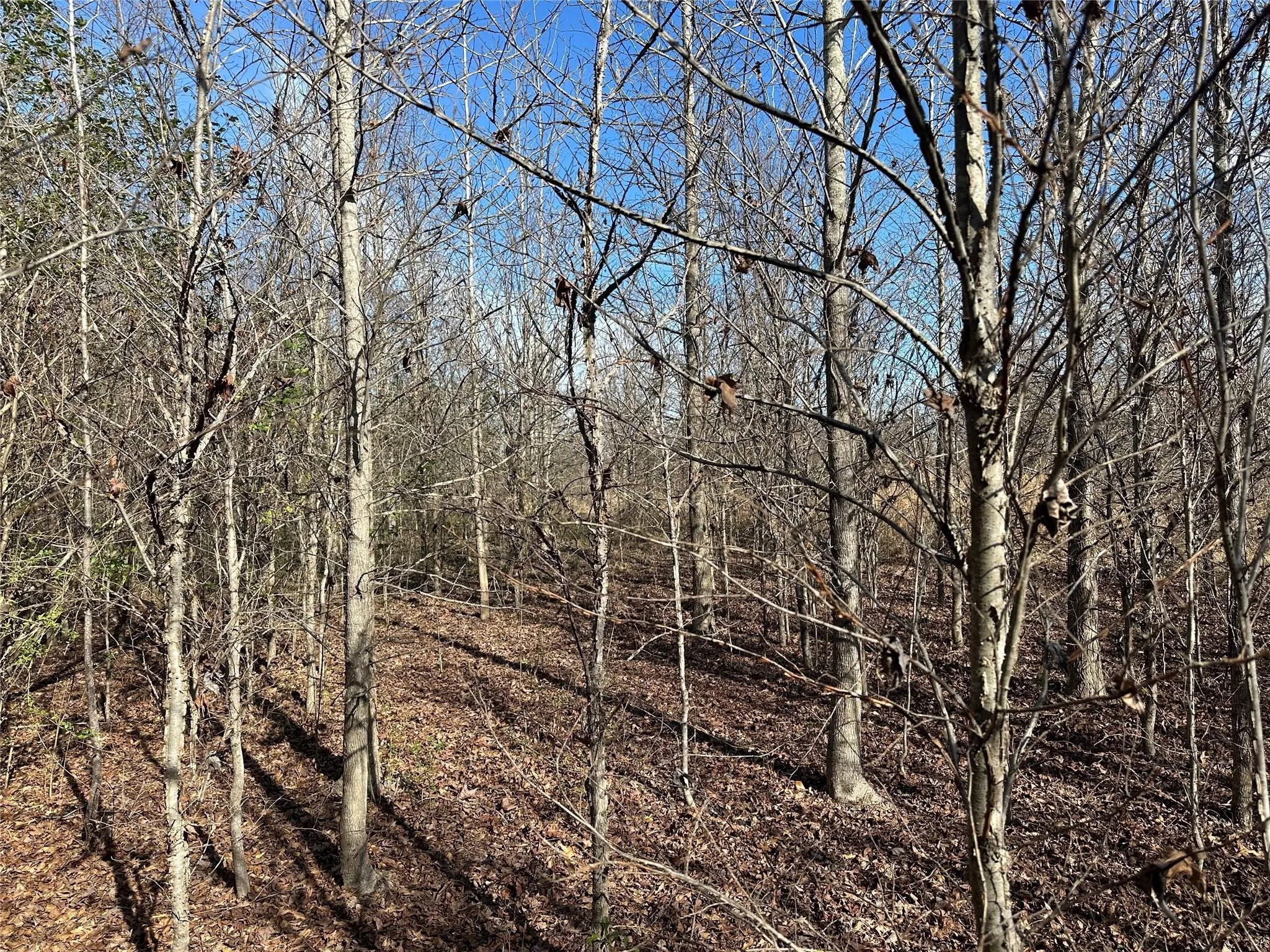 Unimproved Land For Sale in Hopkins County , 0000 County Road 2324, Como, Texas 75431, 0, 0, Garage spaces, 0 Sqft, built in 0, mls#21335124, Real Estate Agent in Como, Homes For Sale in Hopkins county, Homes For Sale in Como, Realtor in Como Texas, Real Estate Brokerage Independent Realty Texas, Luminita Cordes Realtor