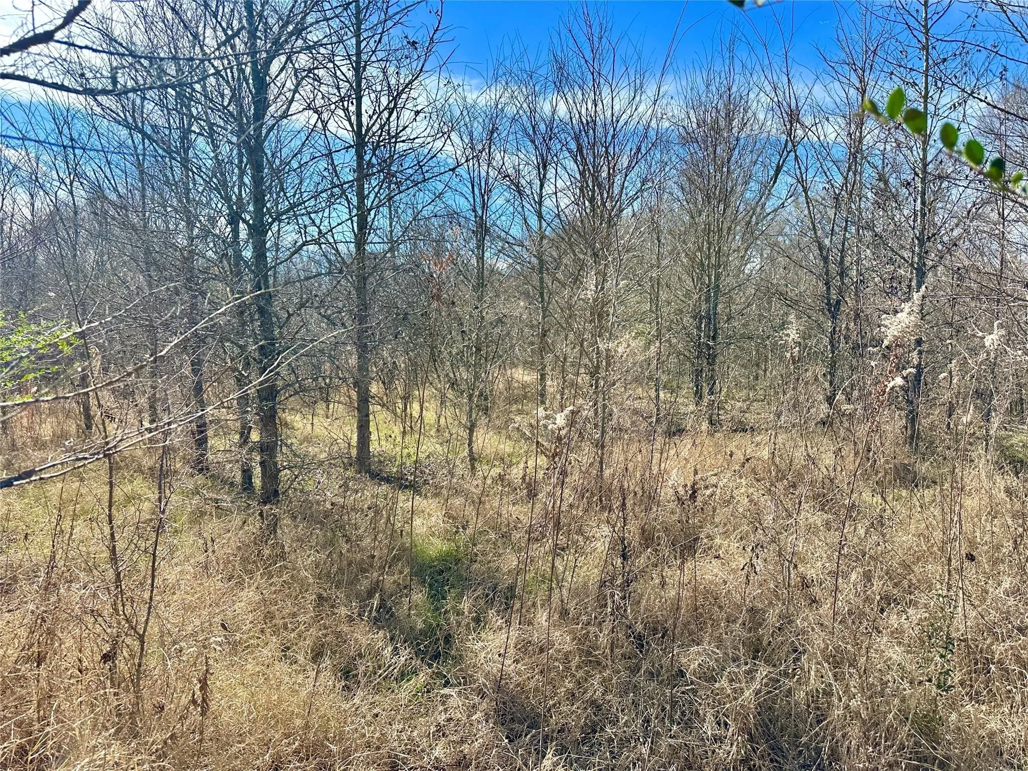 Unimproved Land For Sale in Hopkins County , 0000 County Road 2324, Como, Texas 75431, 0, 0, Garage spaces, 0 Sqft, built in 0, mls#21335124, Real Estate Agent in Como, Homes For Sale in Hopkins county, Homes For Sale in Como, Realtor in Como Texas, Real Estate Brokerage Independent Realty Texas, Luminita Cordes Realtor