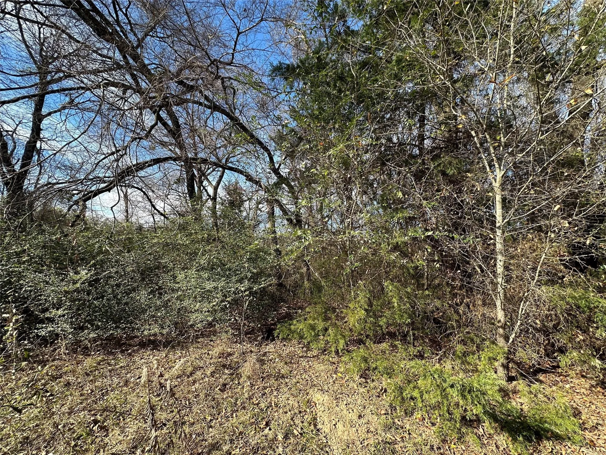 Unimproved Land For Sale in Hopkins County , 0000 County Road 2324, Como, Texas 75431, 0, 0, Garage spaces, 0 Sqft, built in 0, mls#21335124, Real Estate Agent in Como, Homes For Sale in Hopkins county, Homes For Sale in Como, Realtor in Como Texas, Real Estate Brokerage Independent Realty Texas, Luminita Cordes Realtor