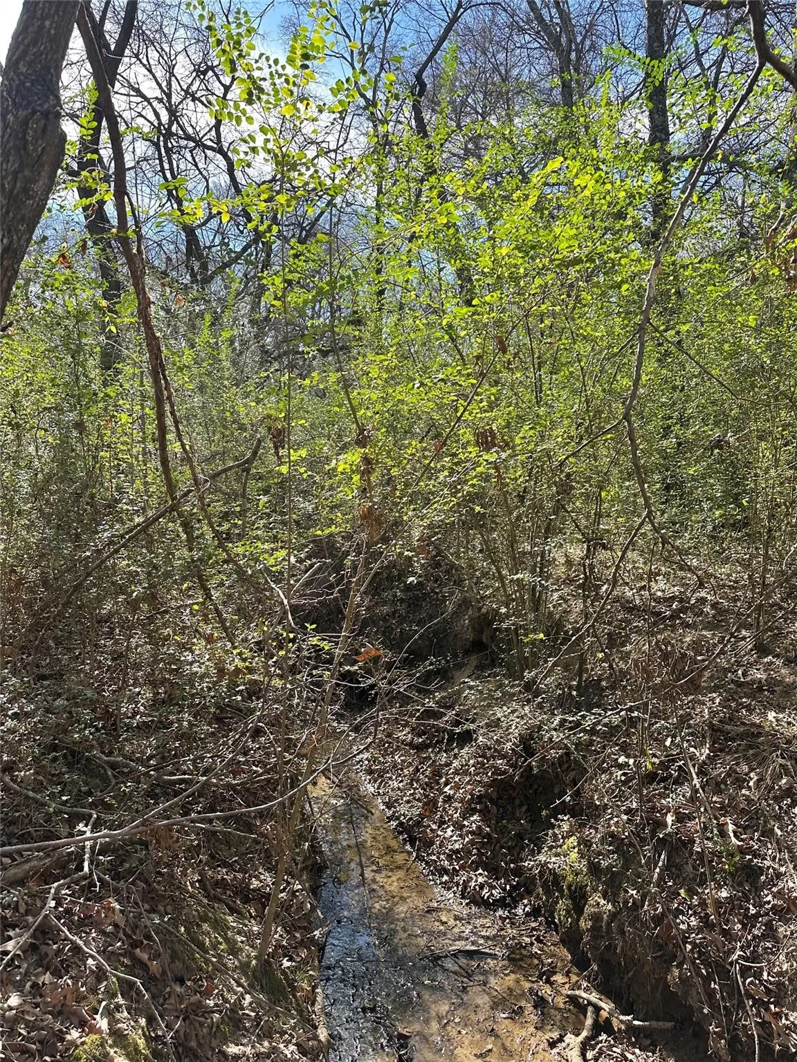 Unimproved Land For Sale in Hopkins County , 0000 County Road 2324, Como, Texas 75431, 0, 0, Garage spaces, 0 Sqft, built in 0, mls#21335124, Real Estate Agent in Como, Homes For Sale in Hopkins county, Homes For Sale in Como, Realtor in Como Texas, Real Estate Brokerage Independent Realty Texas, Luminita Cordes Realtor