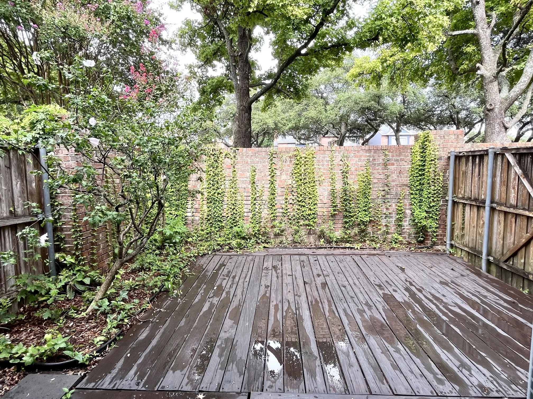 Condominium For Rent in Collin County , 5859 Frankford Road 1009, Dallas, Texas 75252, 2 Bedroom, 2 Bathroom, Garage spaces, 1,151 Sqft, built in 1985, mls#21334658, Real Estate Agent in Dallas, Homes For Rent in Collin county, Homes For Rent in Dallas, Realtor in Dallas Texas, Real Estate Brokerage Independent Realty Texas, Luminita Cordes Realtor