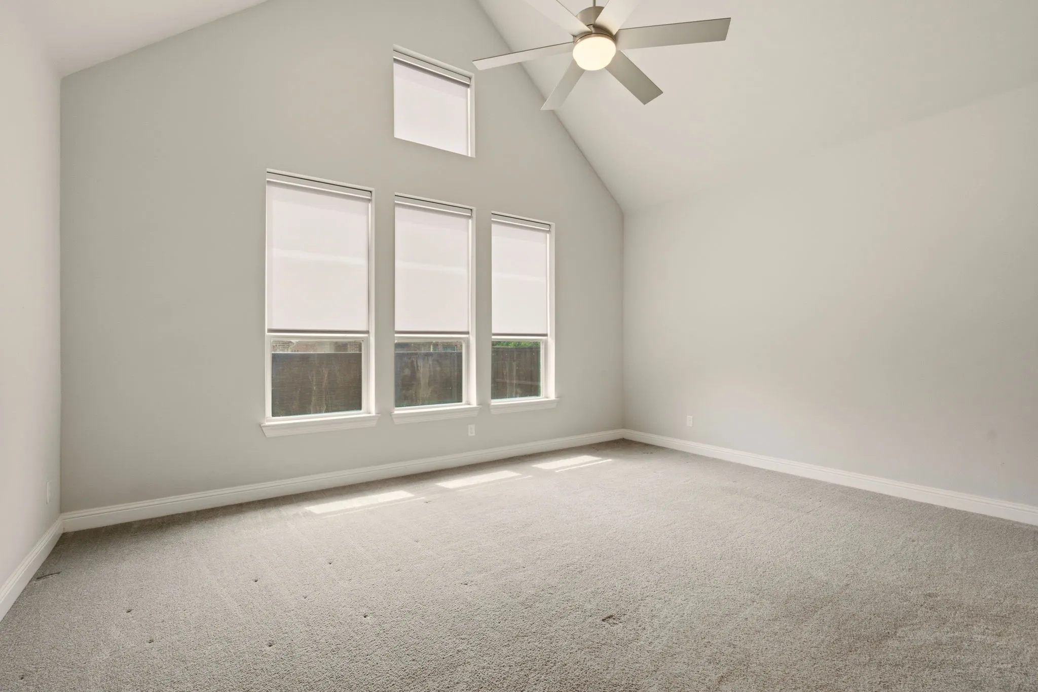 Tall Windows and Cathedral Ceiling in Spacious Primary.