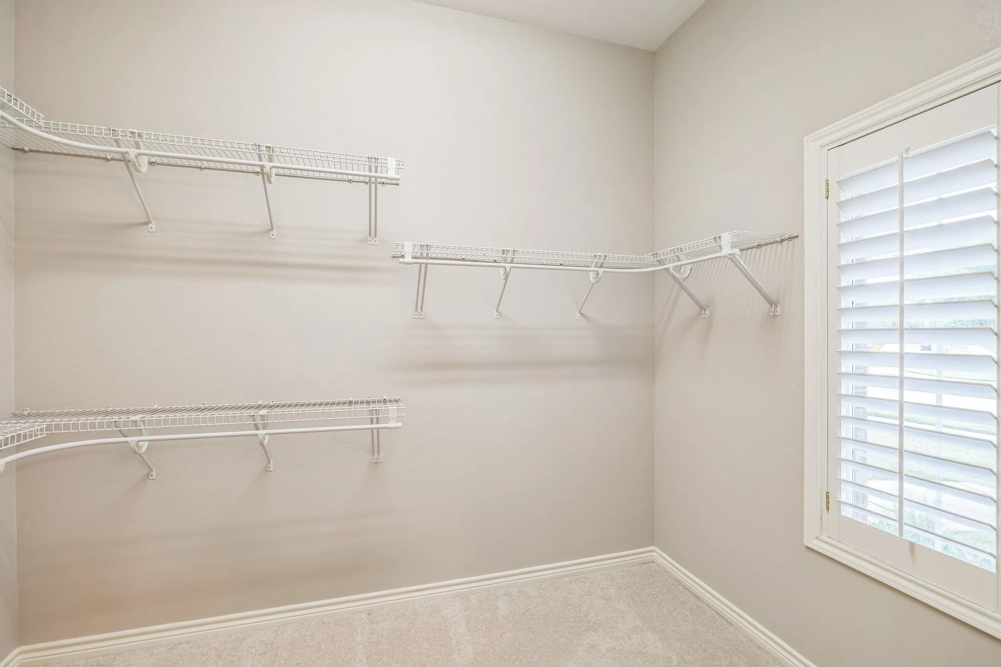 Walk-in closet with carpet flooring, light neutral wall paint, white wire shelving, and a window featuring white plantation shutters