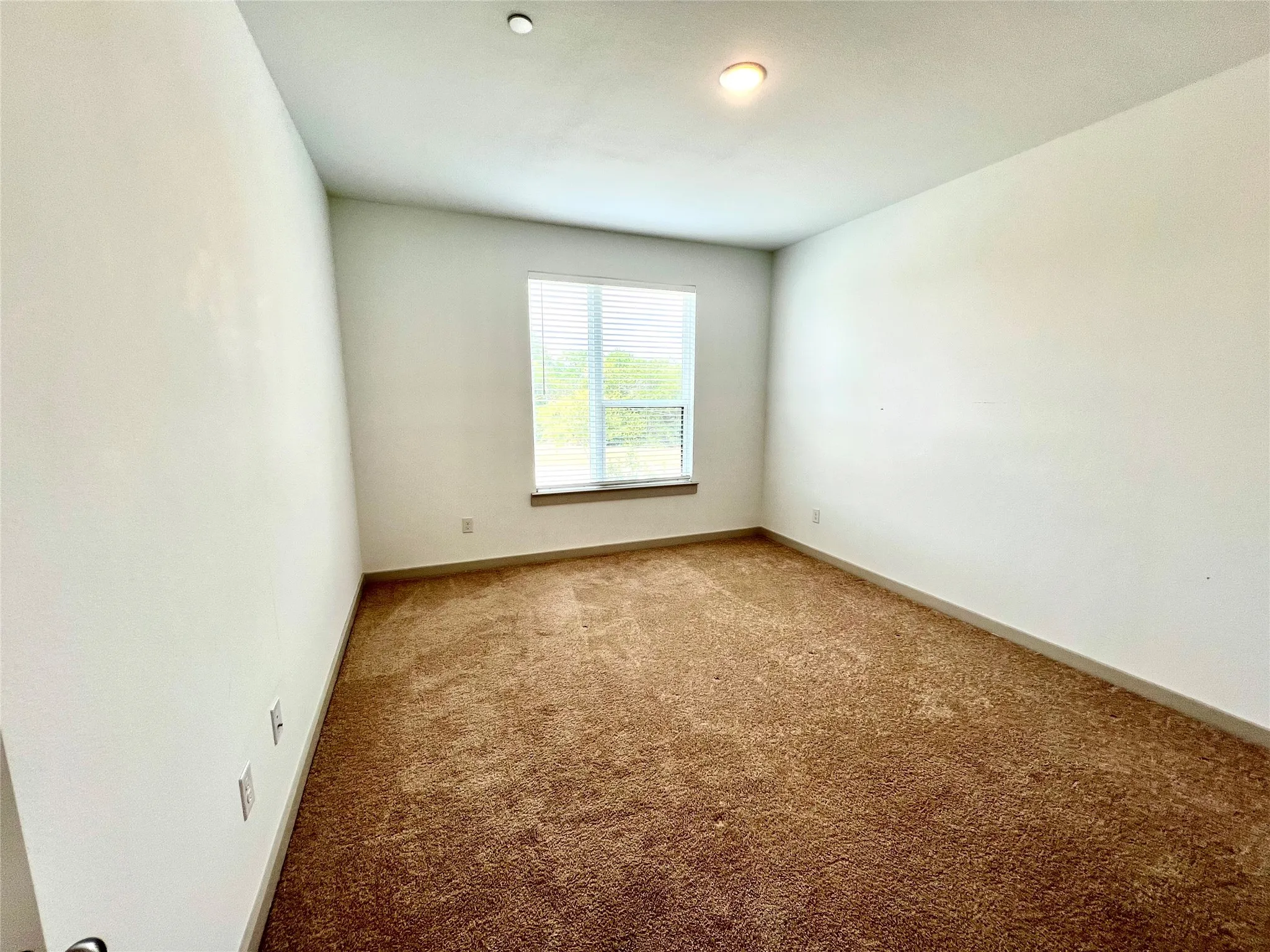 Unfurnished room featuring carpet