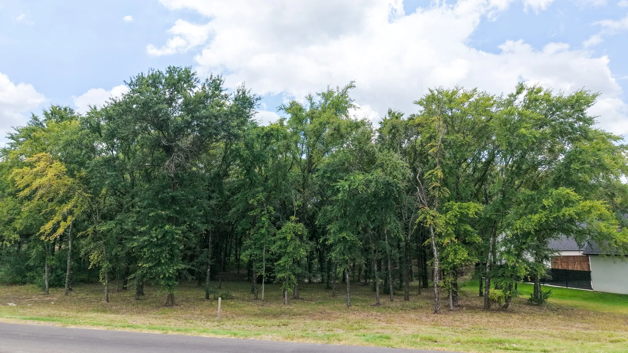Unimproved Land For Sale in Kaufman County , 309 Cedar Creek Landing Lane, Mabank, Texas 75143, 0, 0, Garage spaces, 0 Sqft, built in 0, Price $121,329, mls#21331718, Real Estate Agent in Mabank, Homes For Sale in Kaufman county, Homes For Sale in Mabank, Realtor in Mabank Texas, Real Estate Brokerage Independent Realty Texas, Luminita Cordes Realtor