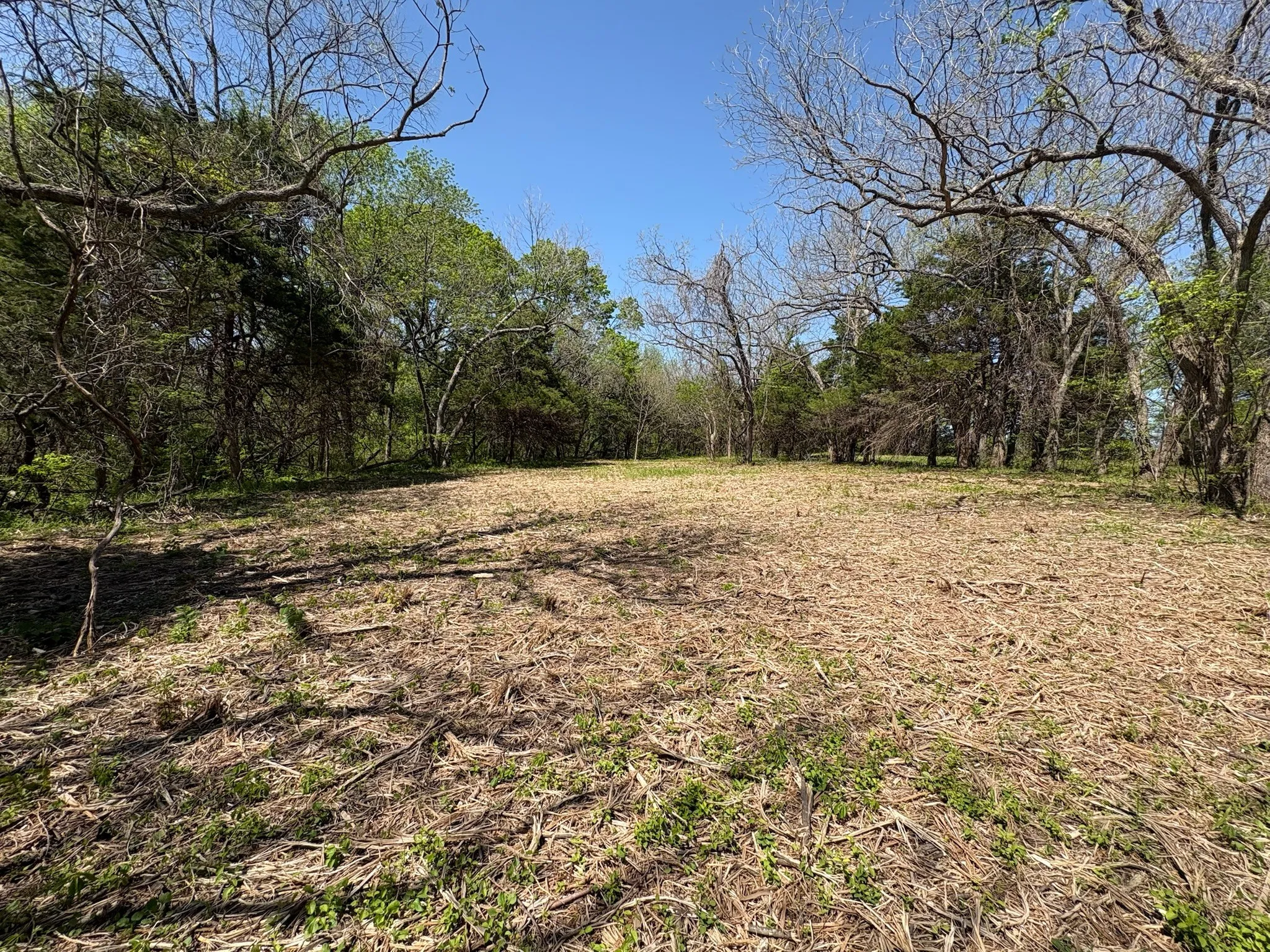 Unimproved Land For Sale in Grayson County , 0000 Rockport Road, Sherman, Texas 75092, 0, 0, Garage spaces, 0 Sqft, built in 0, mls#21335206, Real Estate Agent in Sherman, Homes For Sale in Grayson county, Homes For Sale in Sherman, Realtor in Sherman Texas, Real Estate Brokerage Independent Realty Texas, Luminita Cordes Realtor