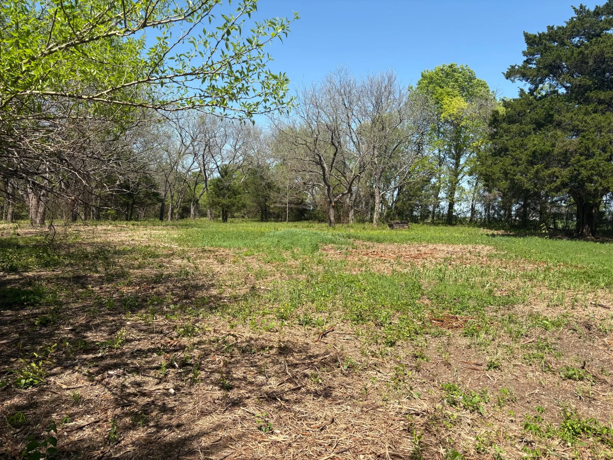 Unimproved Land For Sale in Grayson County , 0000 Rockport Road, Sherman, Texas 75092, 0, 0, Garage spaces, 0 Sqft, built in 0, mls#21335206, Real Estate Agent in Sherman, Homes For Sale in Grayson county, Homes For Sale in Sherman, Realtor in Sherman Texas, Real Estate Brokerage Independent Realty Texas, Luminita Cordes Realtor