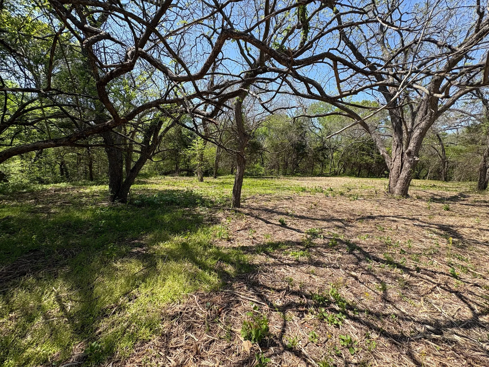 Unimproved Land For Sale in Grayson County , 0000 Rockport Road, Sherman, Texas 75092, 0, 0, Garage spaces, 0 Sqft, built in 0, mls#21335206, Real Estate Agent in Sherman, Homes For Sale in Grayson county, Homes For Sale in Sherman, Realtor in Sherman Texas, Real Estate Brokerage Independent Realty Texas, Luminita Cordes Realtor