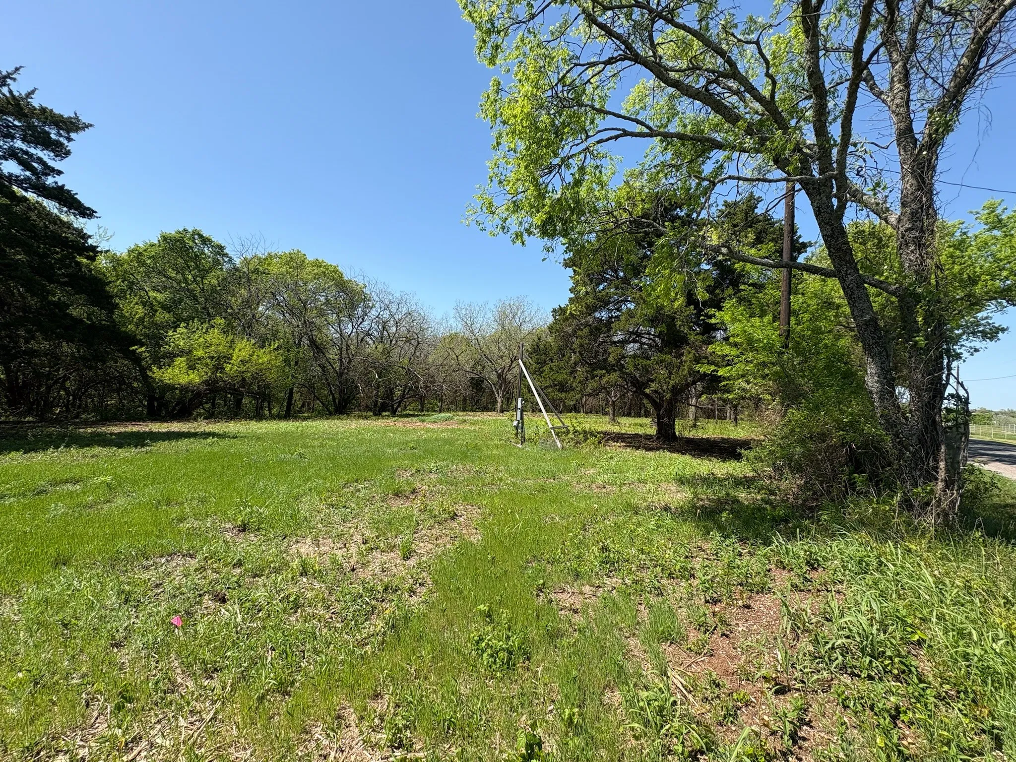 Expansive grass-covered lot featuring a natural tree line bordering the property