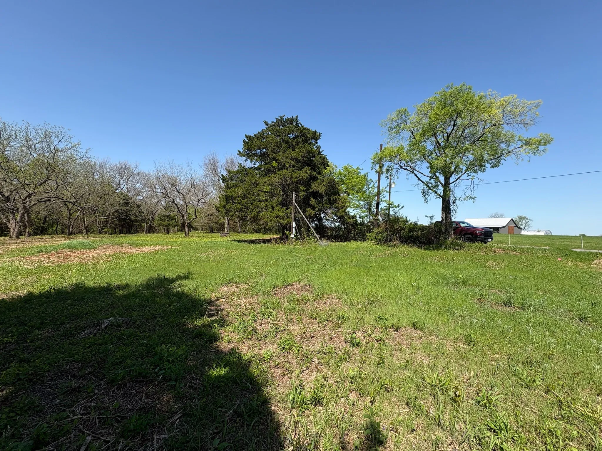 Expansive grassy lot with mature trees
