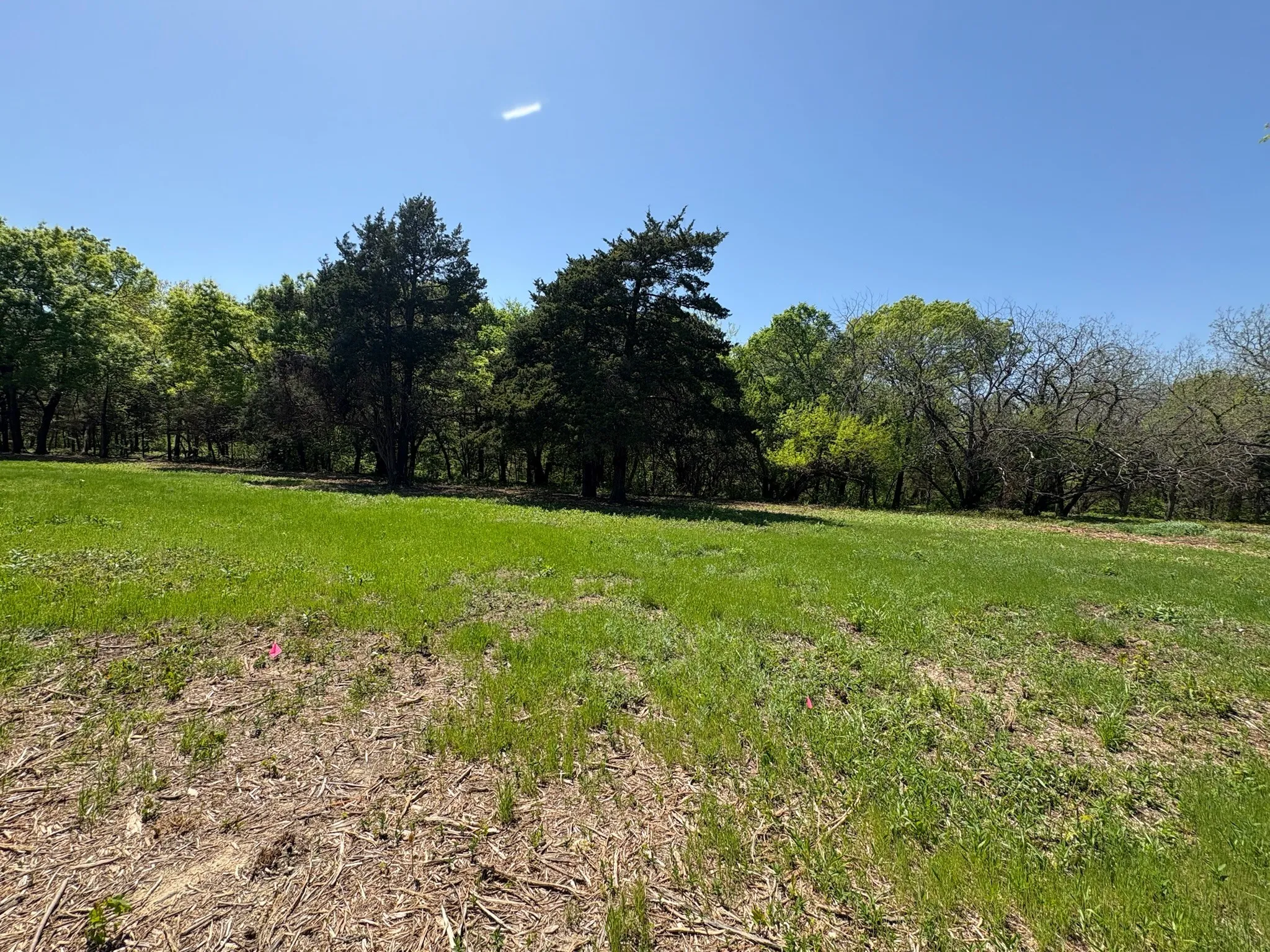 Unimproved Land For Sale in Grayson County , 0000 Rockport Road, Sherman, Texas 75092, 0, 0, Garage spaces, 0 Sqft, built in 0, mls#21335206, Real Estate Agent in Sherman, Homes For Sale in Grayson county, Homes For Sale in Sherman, Realtor in Sherman Texas, Real Estate Brokerage Independent Realty Texas, Luminita Cordes Realtor
