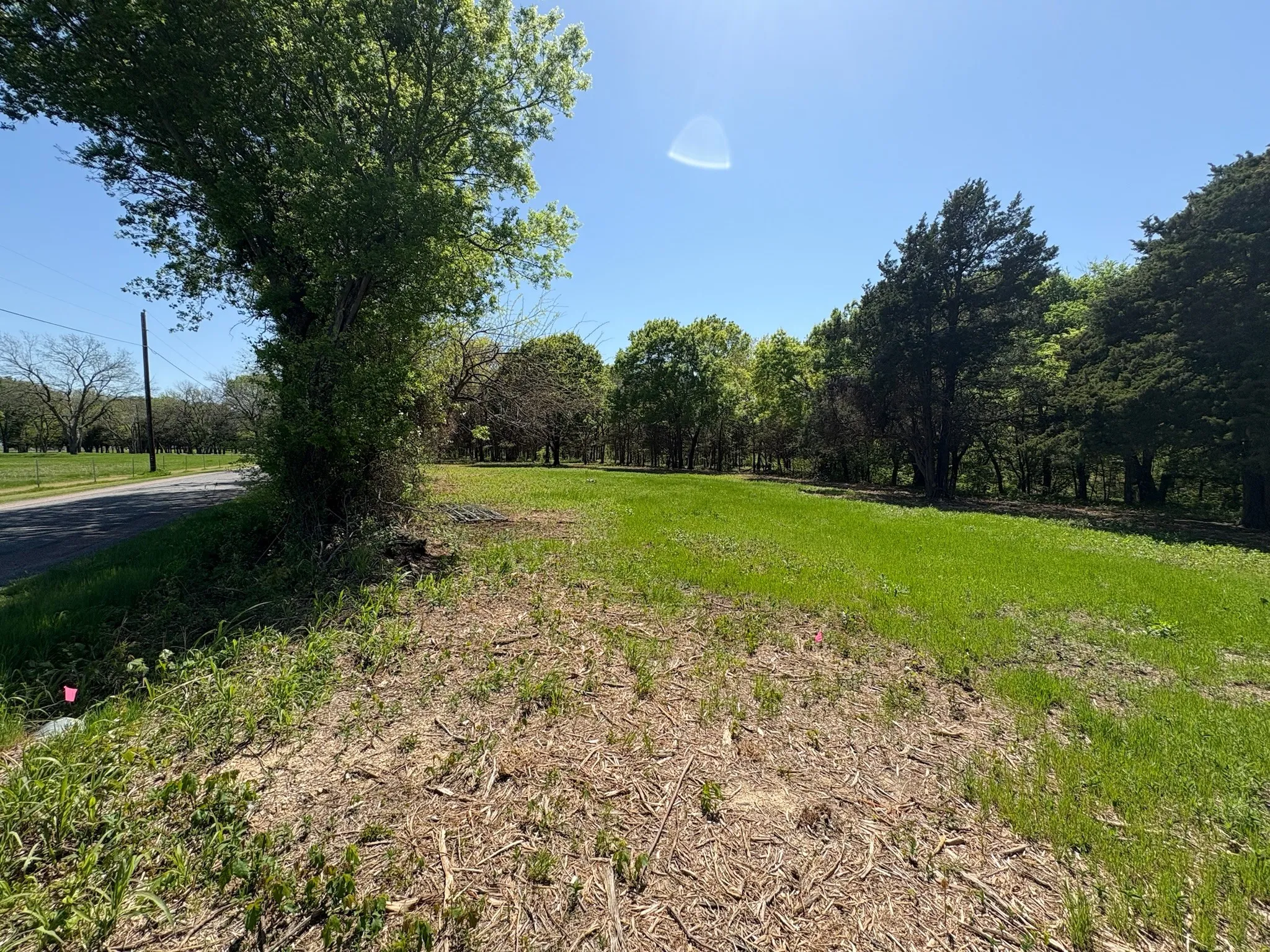 Expansive grassy lot with mature perimeter trees