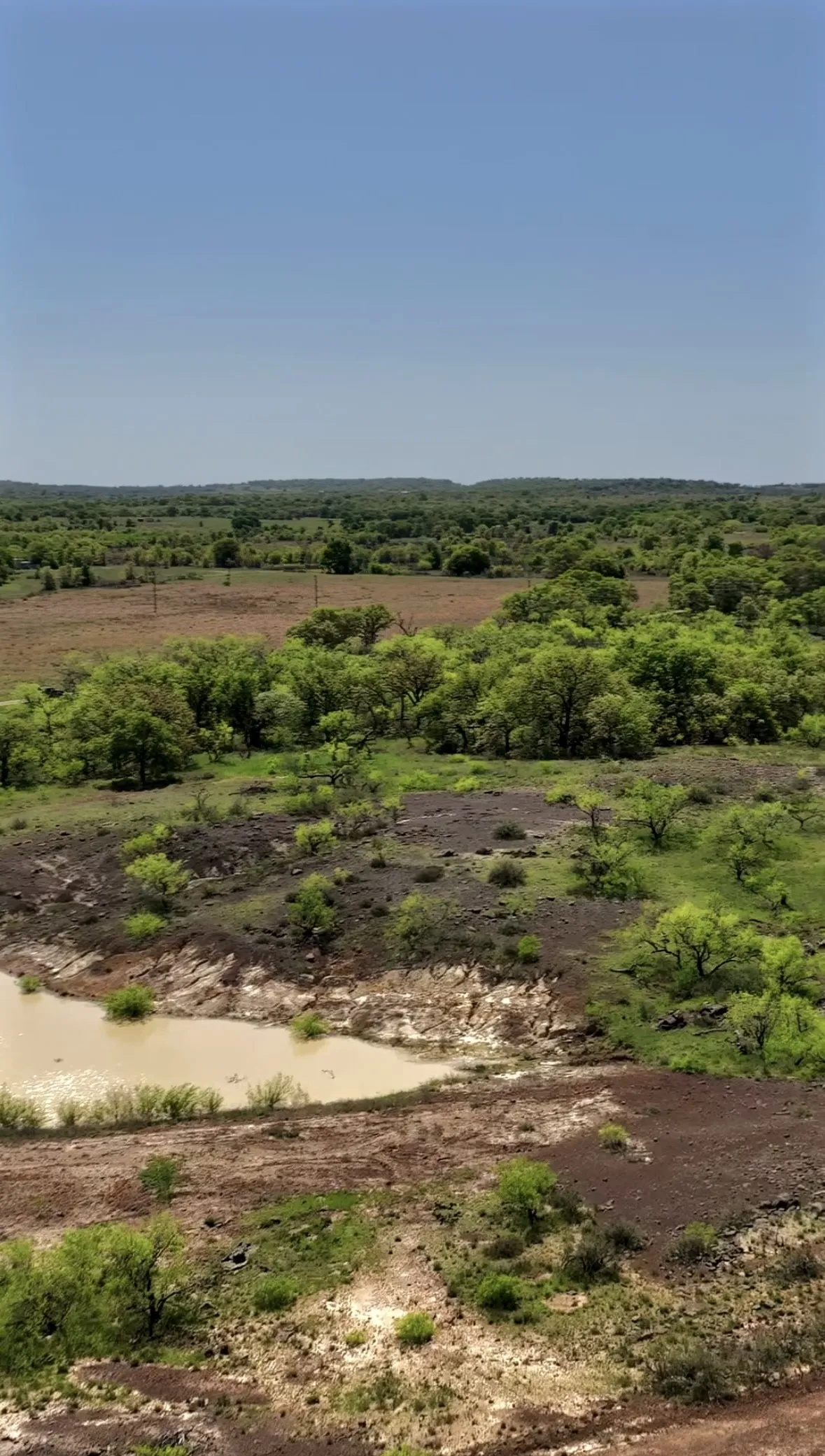 Improved Land For Sale in Jack County , 163 Campbell Lane, Jacksboro, Texas 76458, 0, 0, Garage spaces, 0 Sqft, built in 0, Price $237,500, mls#21333829, Real Estate Agent in Jacksboro, Homes For Sale in Jack county, Homes For Sale in Jacksboro, Realtor in Jacksboro Texas, Real Estate Brokerage Independent Realty Texas, Luminita Cordes Realtor
