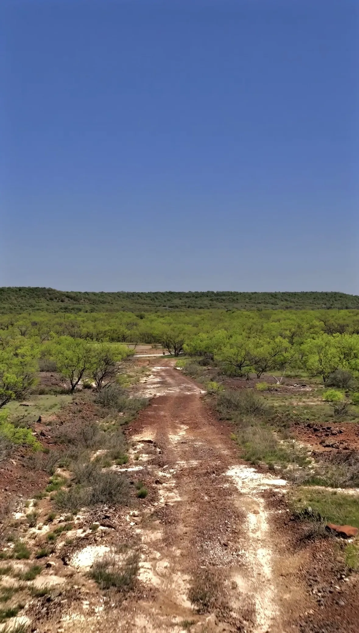 Improved Land For Sale in Jack County , 163 Campbell Lane, Jacksboro, Texas 76458, 0, 0, Garage spaces, 0 Sqft, built in 0, Price $237,500, mls#21333829, Real Estate Agent in Jacksboro, Homes For Sale in Jack county, Homes For Sale in Jacksboro, Realtor in Jacksboro Texas, Real Estate Brokerage Independent Realty Texas, Luminita Cordes Realtor