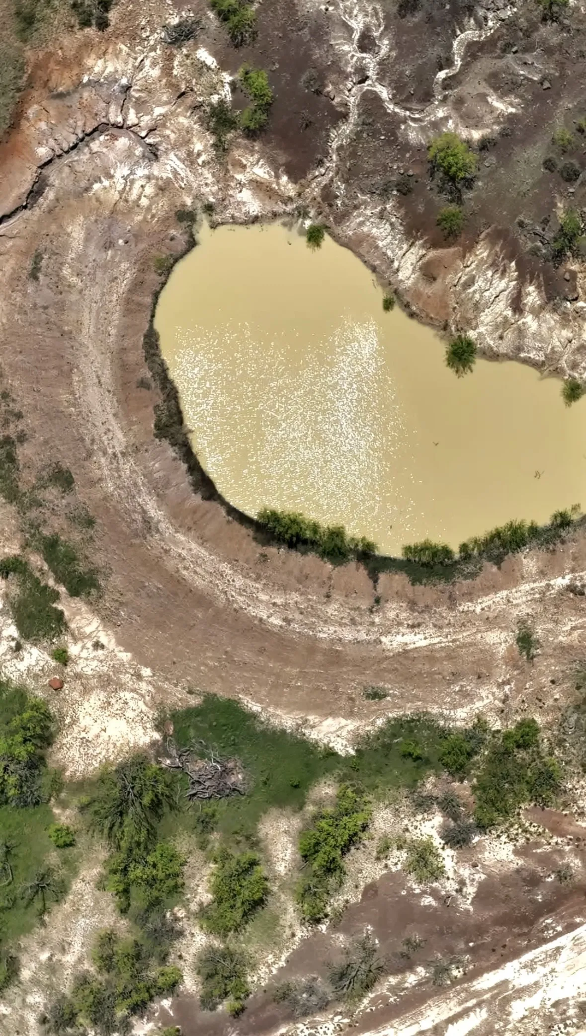 Improved Land For Sale in Jack County , 163 Campbell Lane, Jacksboro, Texas 76458, 0, 0, Garage spaces, 0 Sqft, built in 0, Price $237,500, mls#21333829, Real Estate Agent in Jacksboro, Homes For Sale in Jack county, Homes For Sale in Jacksboro, Realtor in Jacksboro Texas, Real Estate Brokerage Independent Realty Texas, Luminita Cordes Realtor