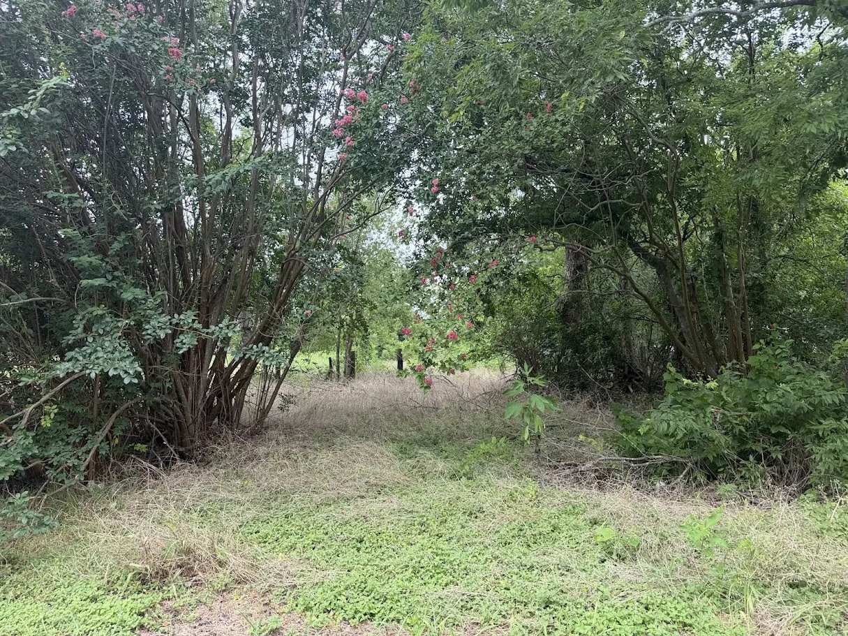 Unimproved Land For Sale in Mc Lennan County , 612 S Criswell Street, Mart, Texas 76664, 0, 0, Garage spaces, 0 Sqft, built in 0, Price $25,000, mls#21333541, Real Estate Agent in Mart, Homes For Sale in Mc Lennan county, Homes For Sale in Mart, Realtor in Mart Texas, Real Estate Brokerage Independent Realty Texas, Luminita Cordes Realtor