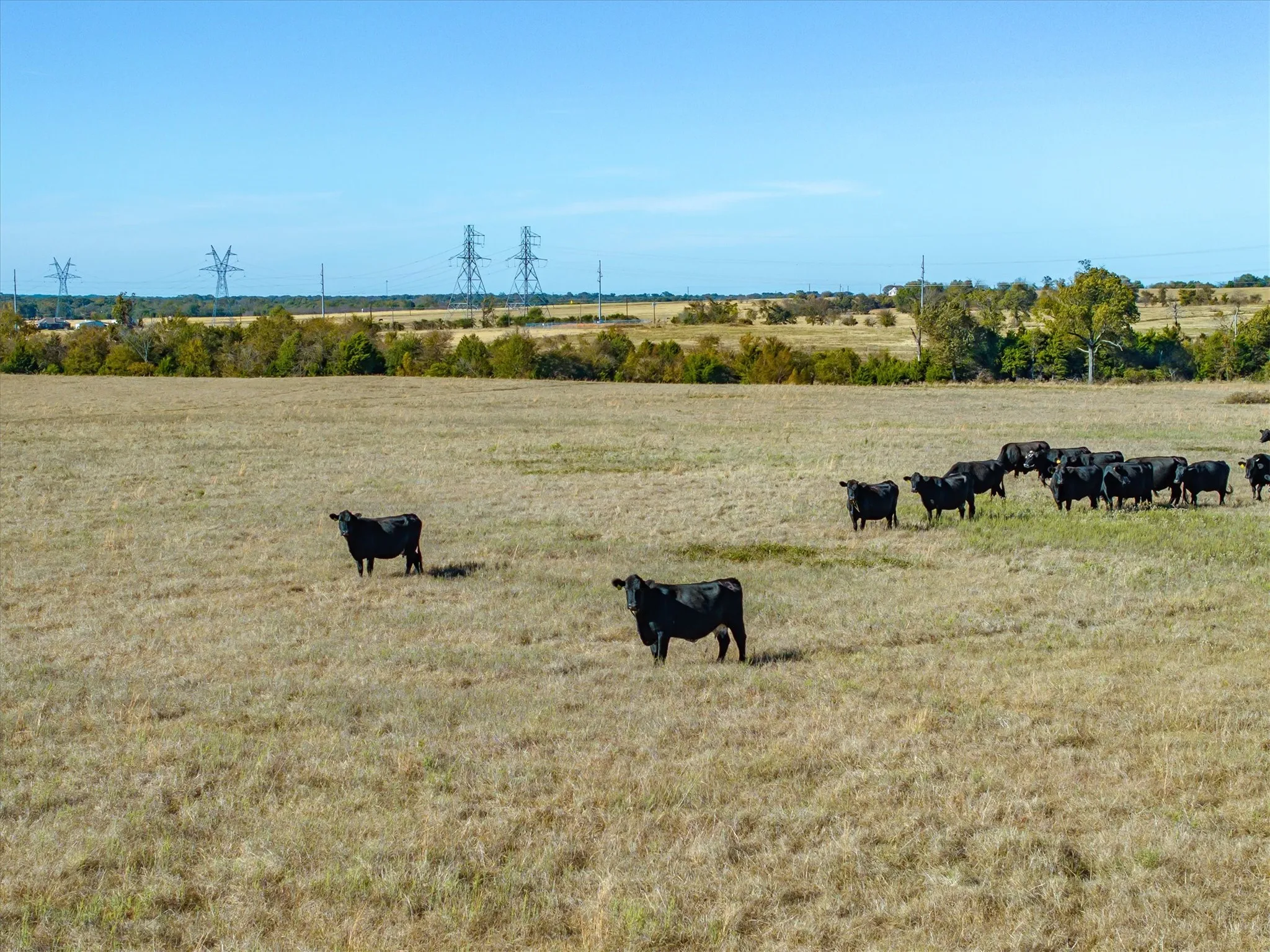 Unimproved Land For Sale in Van Zandt County , 00 Fm 1651, Canton, Texas 75103, 0, 0, Garage spaces, 0 Sqft, built in 0, mls#21335185, Real Estate Agent in Canton, Homes For Sale in Van Zandt county, Homes For Sale in Canton, Realtor in Canton Texas, Real Estate Brokerage Independent Realty Texas, Luminita Cordes Realtor