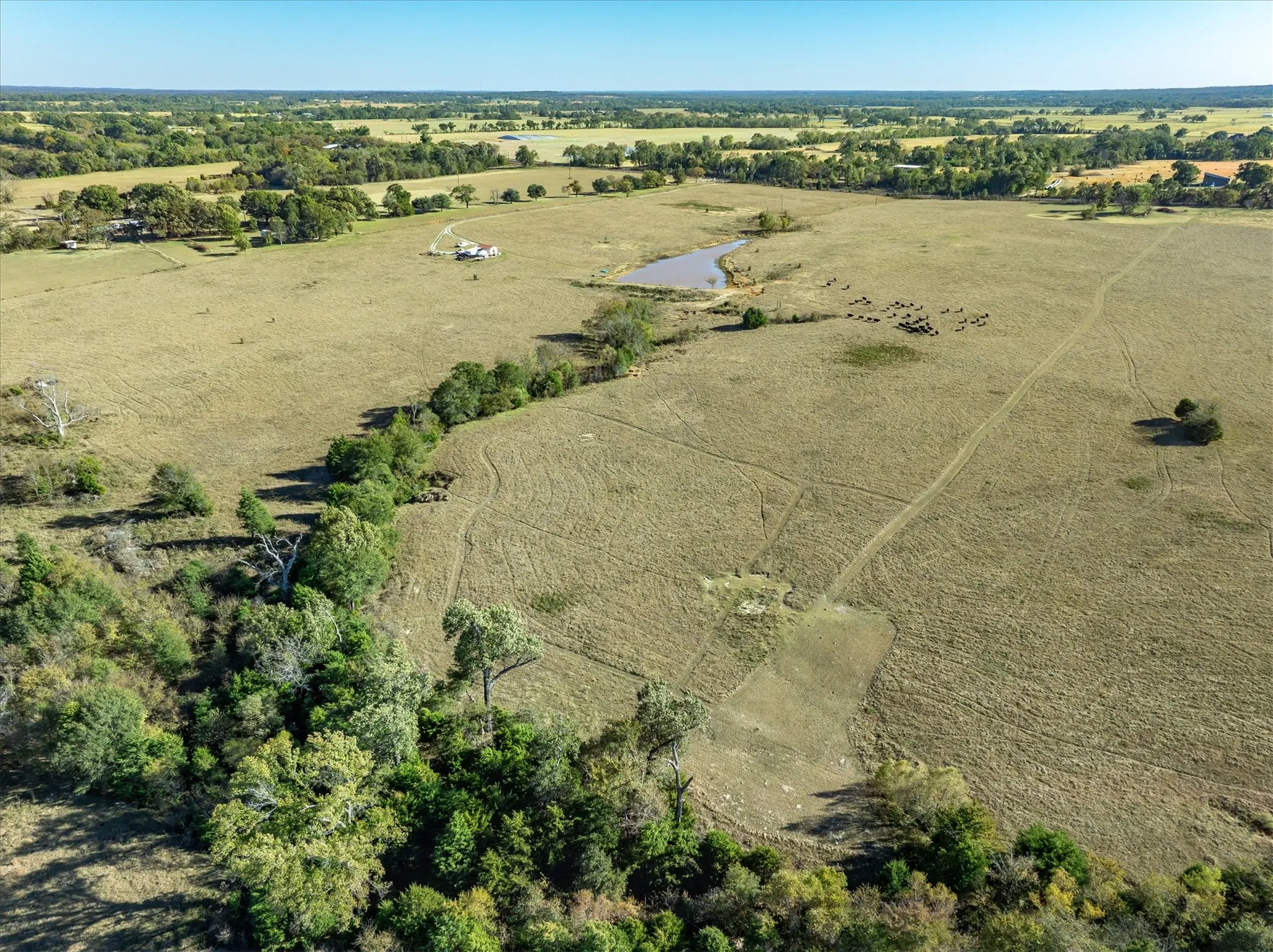 Expansive agricultural land featuring a natural pond, scattered trees, and established pasture