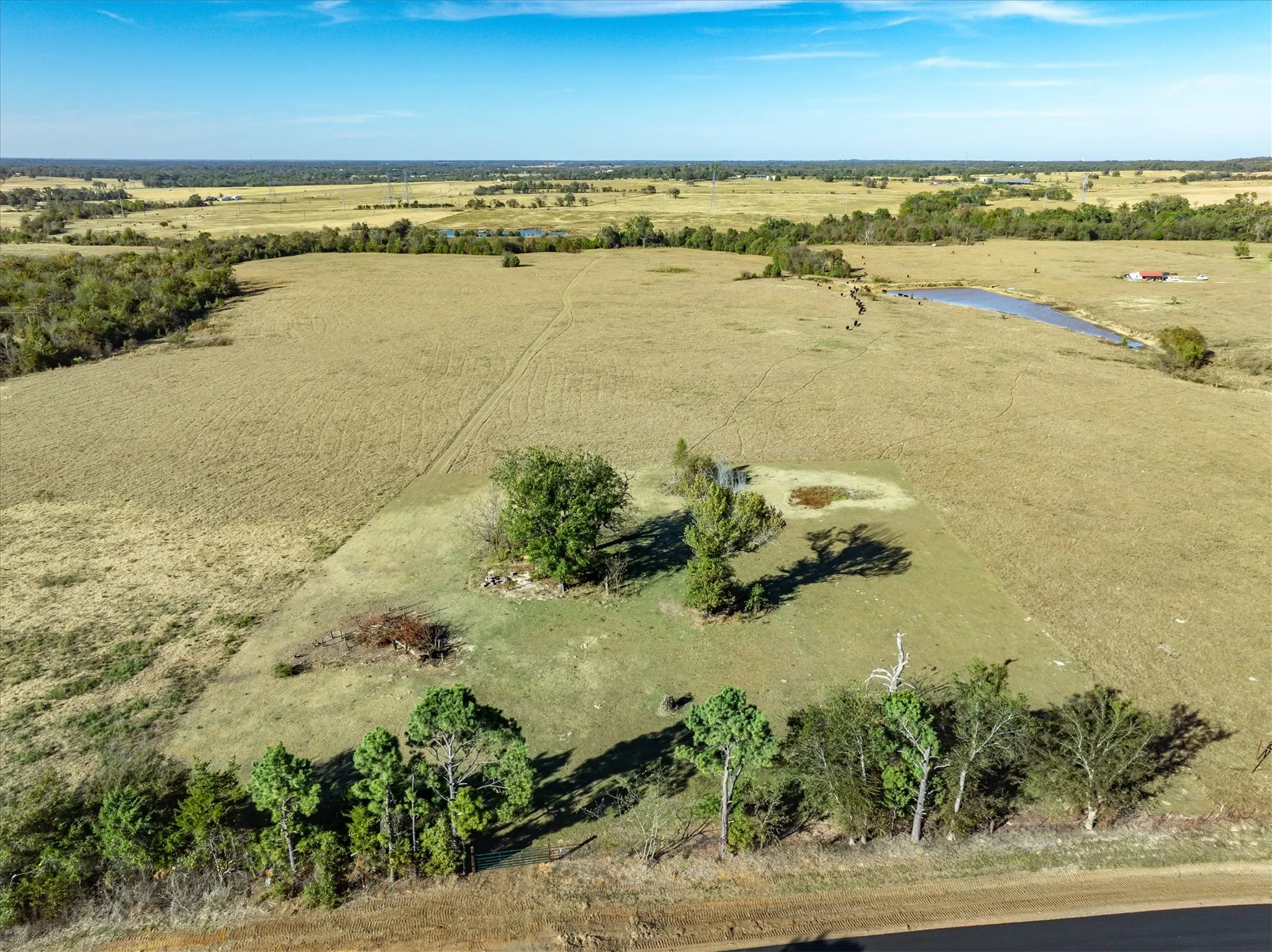 Unimproved Land For Sale in Van Zandt County , 00 Fm 1651, Canton, Texas 75103, 0, 0, Garage spaces, 0 Sqft, built in 0, mls#21335185, Real Estate Agent in Canton, Homes For Sale in Van Zandt county, Homes For Sale in Canton, Realtor in Canton Texas, Real Estate Brokerage Independent Realty Texas, Luminita Cordes Realtor