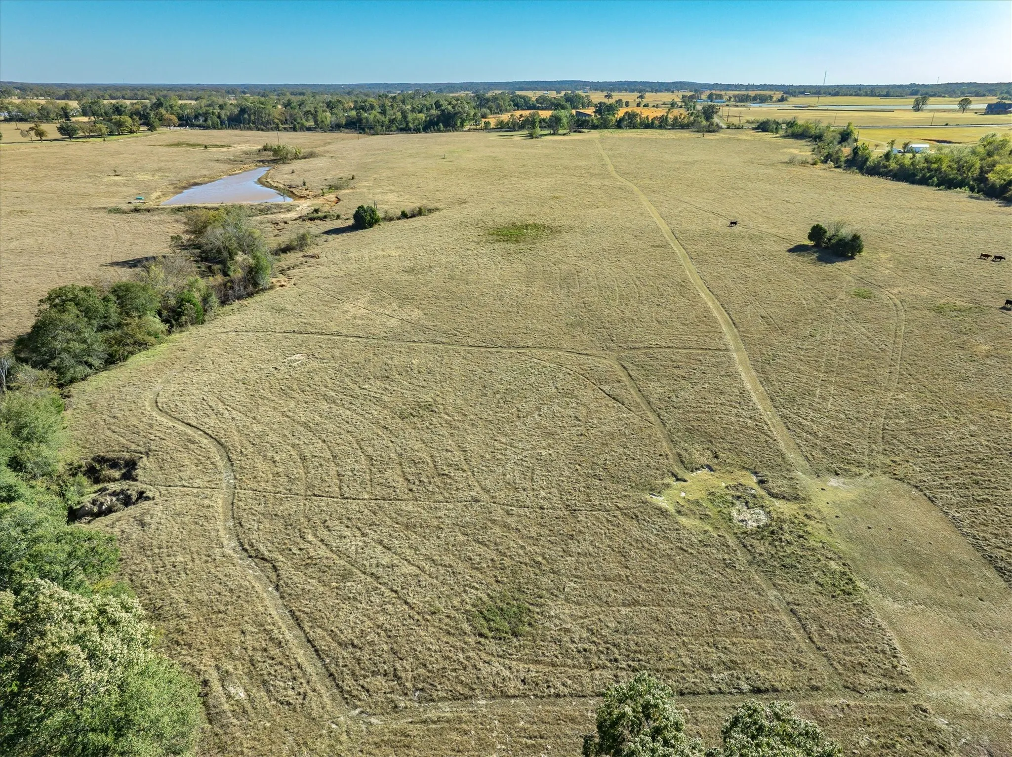 Expansive open field with natural vegetation, featuring a pond, scattered trees, and visible paths