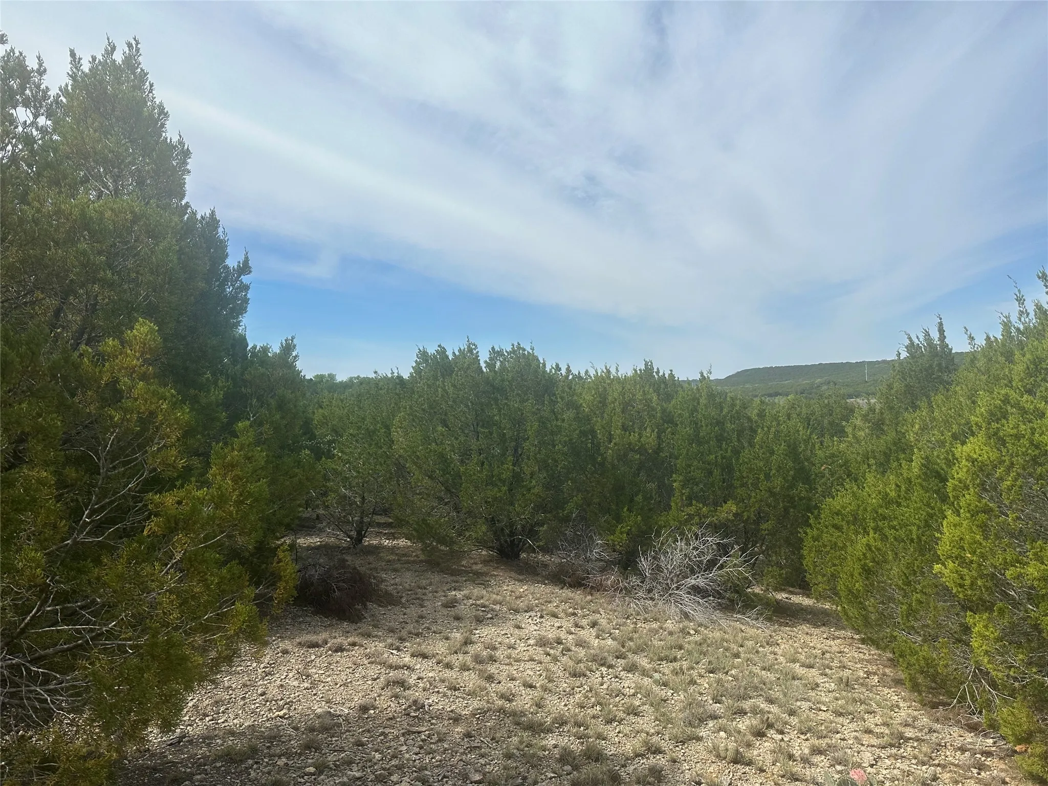 Unimproved Land For Sale in Palo Pinto County , 1241 Balcones Lane, Graford, Texas 76449, 0, 0, Garage spaces, 0 Sqft, built in 0, Price $45,000, mls#21335246, Real Estate Agent in Graford, Homes For Sale in Palo Pinto county, Homes For Sale in Graford, Realtor in Graford Texas, Real Estate Brokerage Independent Realty Texas, Luminita Cordes Realtor