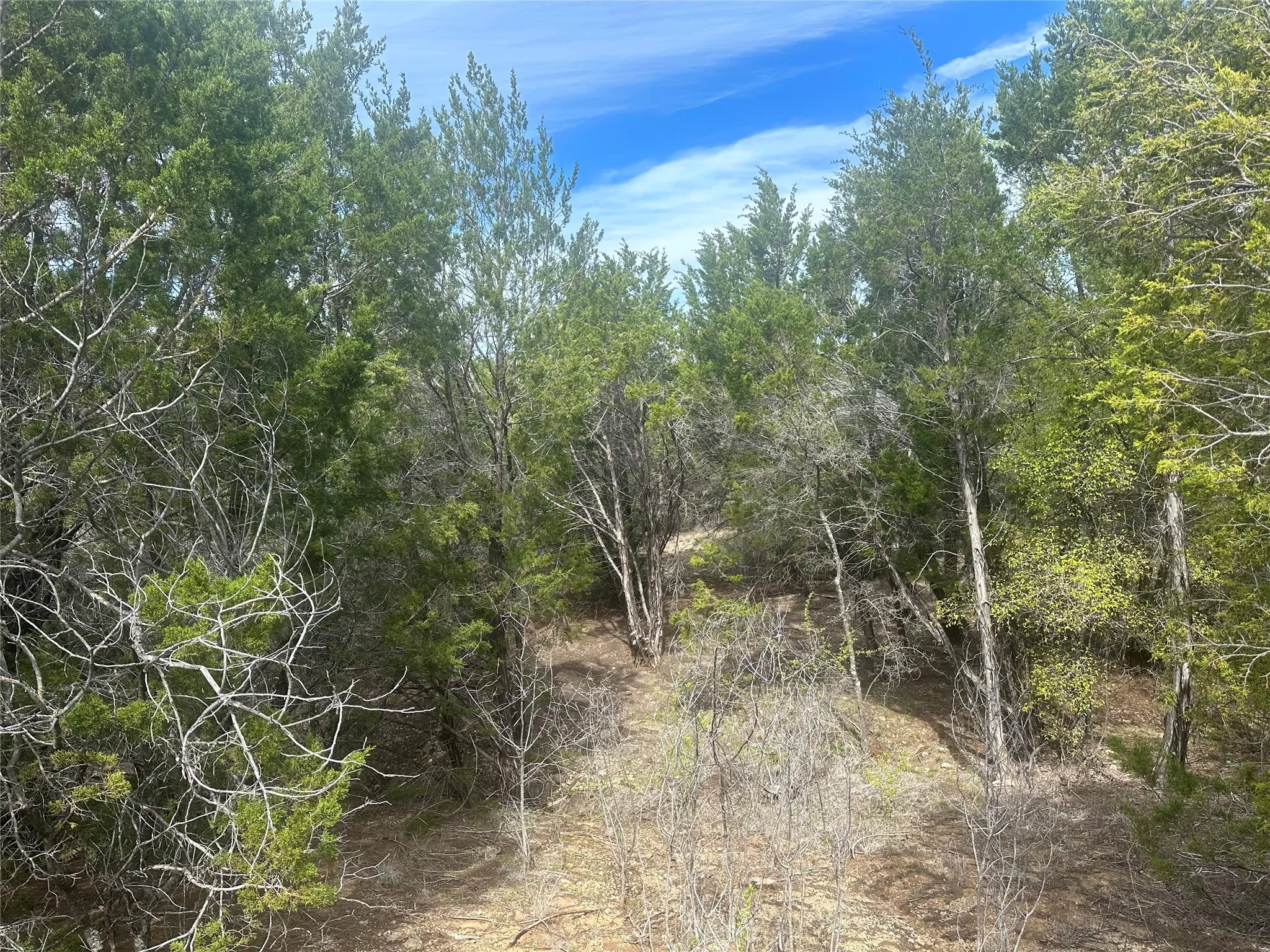 Unimproved Land For Sale in Palo Pinto County , 1241 Balcones Lane, Graford, Texas 76449, 0, 0, Garage spaces, 0 Sqft, built in 0, Price $45,000, mls#21335246, Real Estate Agent in Graford, Homes For Sale in Palo Pinto county, Homes For Sale in Graford, Realtor in Graford Texas, Real Estate Brokerage Independent Realty Texas, Luminita Cordes Realtor