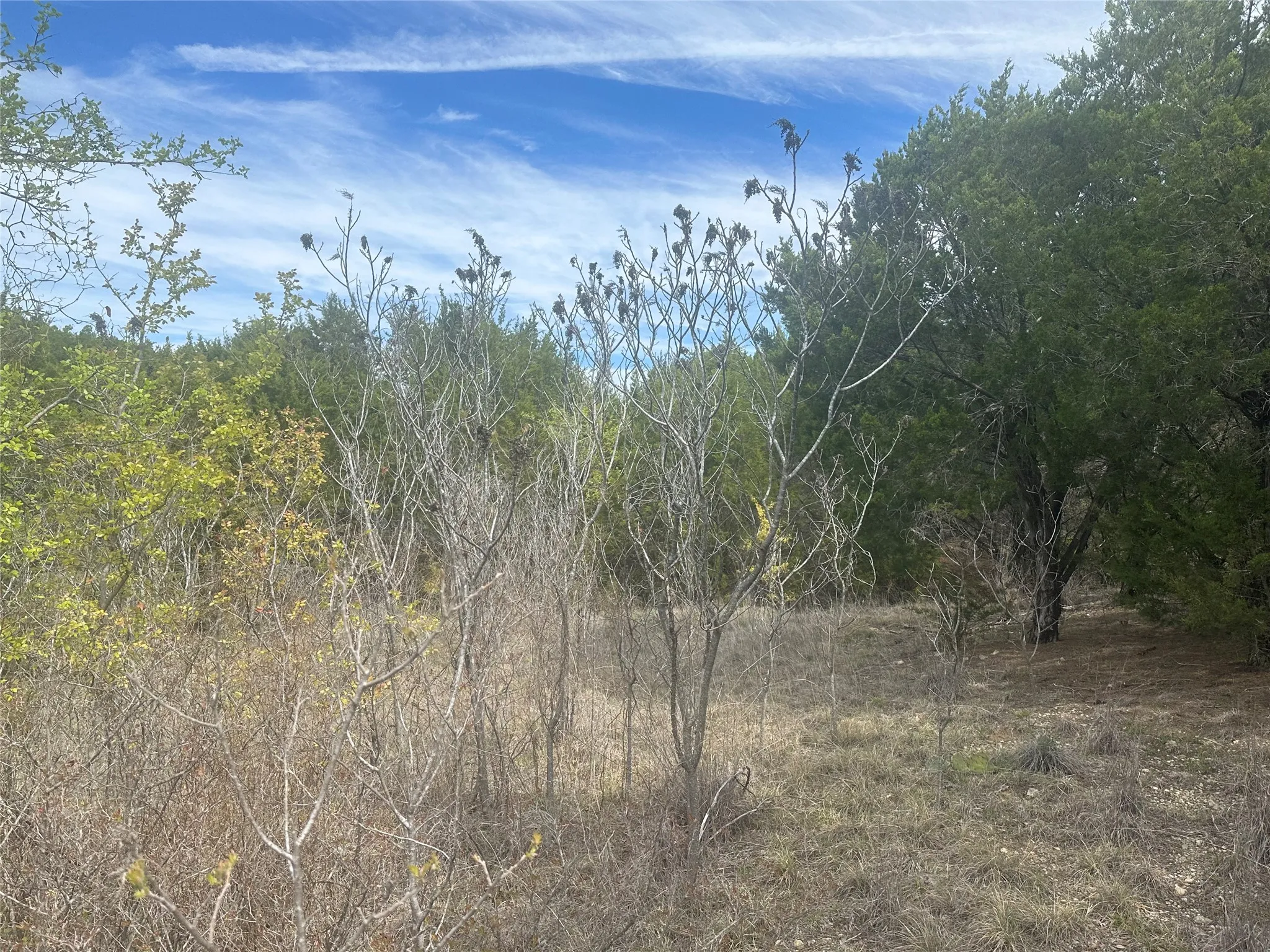 Unimproved Land For Sale in Palo Pinto County , 1241 Balcones Lane, Graford, Texas 76449, 0, 0, Garage spaces, 0 Sqft, built in 0, Price $45,000, mls#21335246, Real Estate Agent in Graford, Homes For Sale in Palo Pinto county, Homes For Sale in Graford, Realtor in Graford Texas, Real Estate Brokerage Independent Realty Texas, Luminita Cordes Realtor
