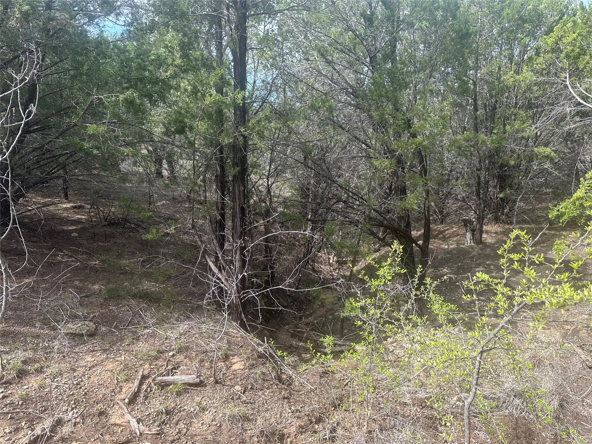 Unimproved Land For Sale in Palo Pinto County , 1241 Balcones Lane, Graford, Texas 76449, 0, 0, Garage spaces, 0 Sqft, built in 0, Price $45,000, mls#21335246, Real Estate Agent in Graford, Homes For Sale in Palo Pinto county, Homes For Sale in Graford, Realtor in Graford Texas, Real Estate Brokerage Independent Realty Texas, Luminita Cordes Realtor