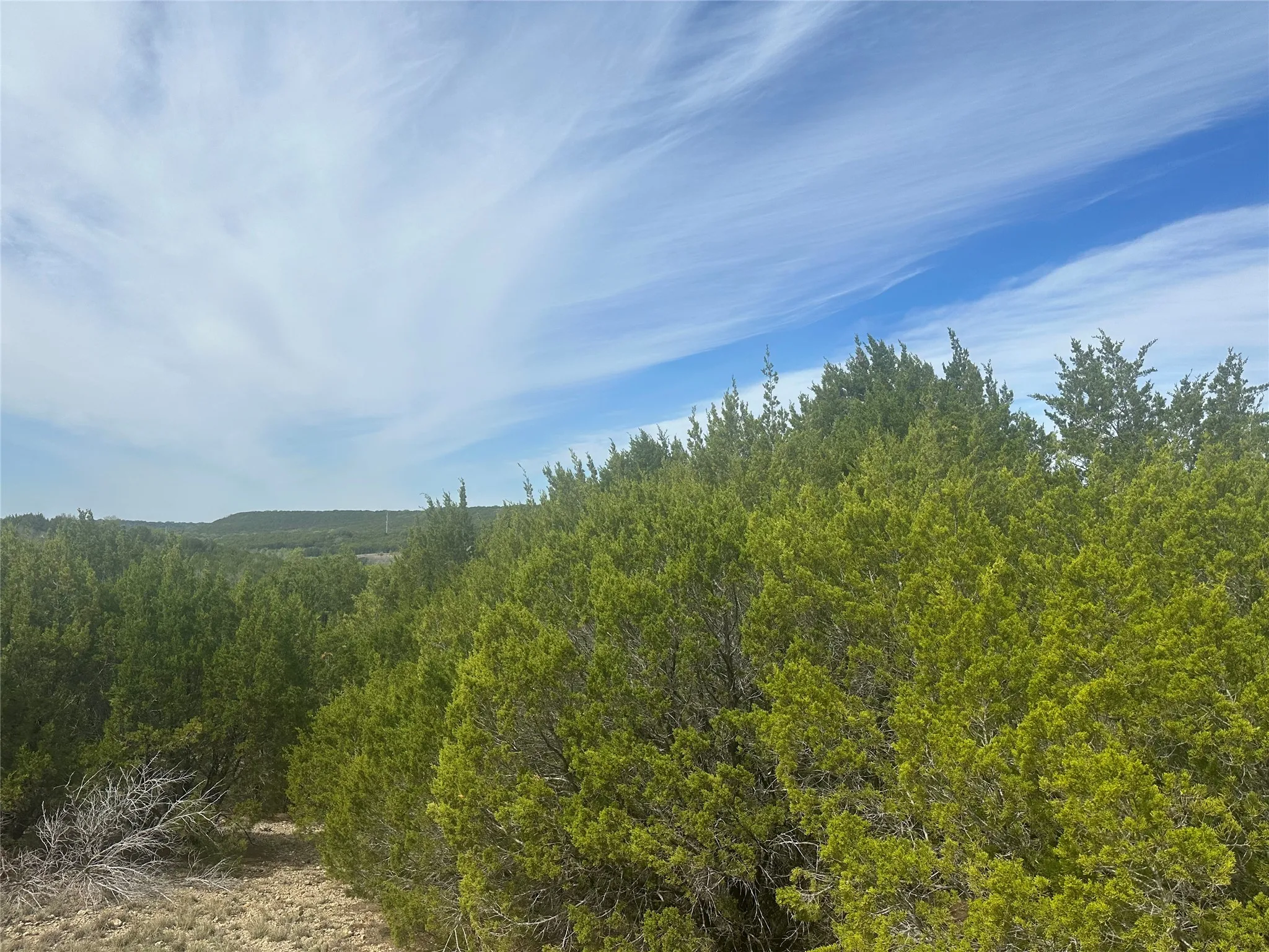 Unimproved Land For Sale in Palo Pinto County , 1241 Balcones Lane, Graford, Texas 76449, 0, 0, Garage spaces, 0 Sqft, built in 0, Price $45,000, mls#21335246, Real Estate Agent in Graford, Homes For Sale in Palo Pinto county, Homes For Sale in Graford, Realtor in Graford Texas, Real Estate Brokerage Independent Realty Texas, Luminita Cordes Realtor