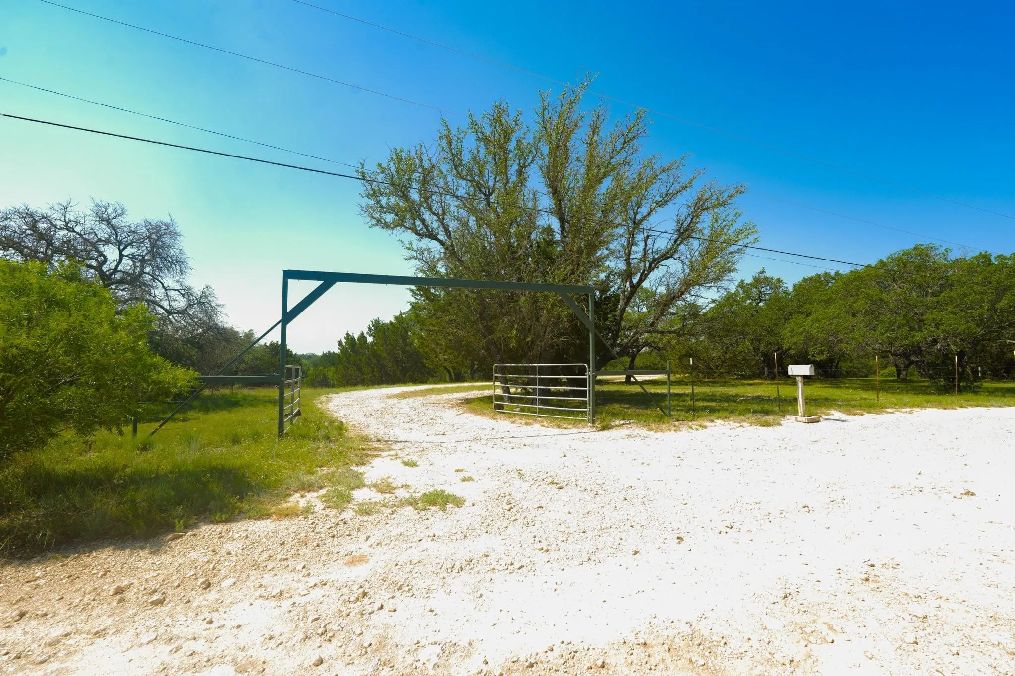 Gravel driveway leading to a metal gate and arched entryway, bordered by natural landscaping and mature trees