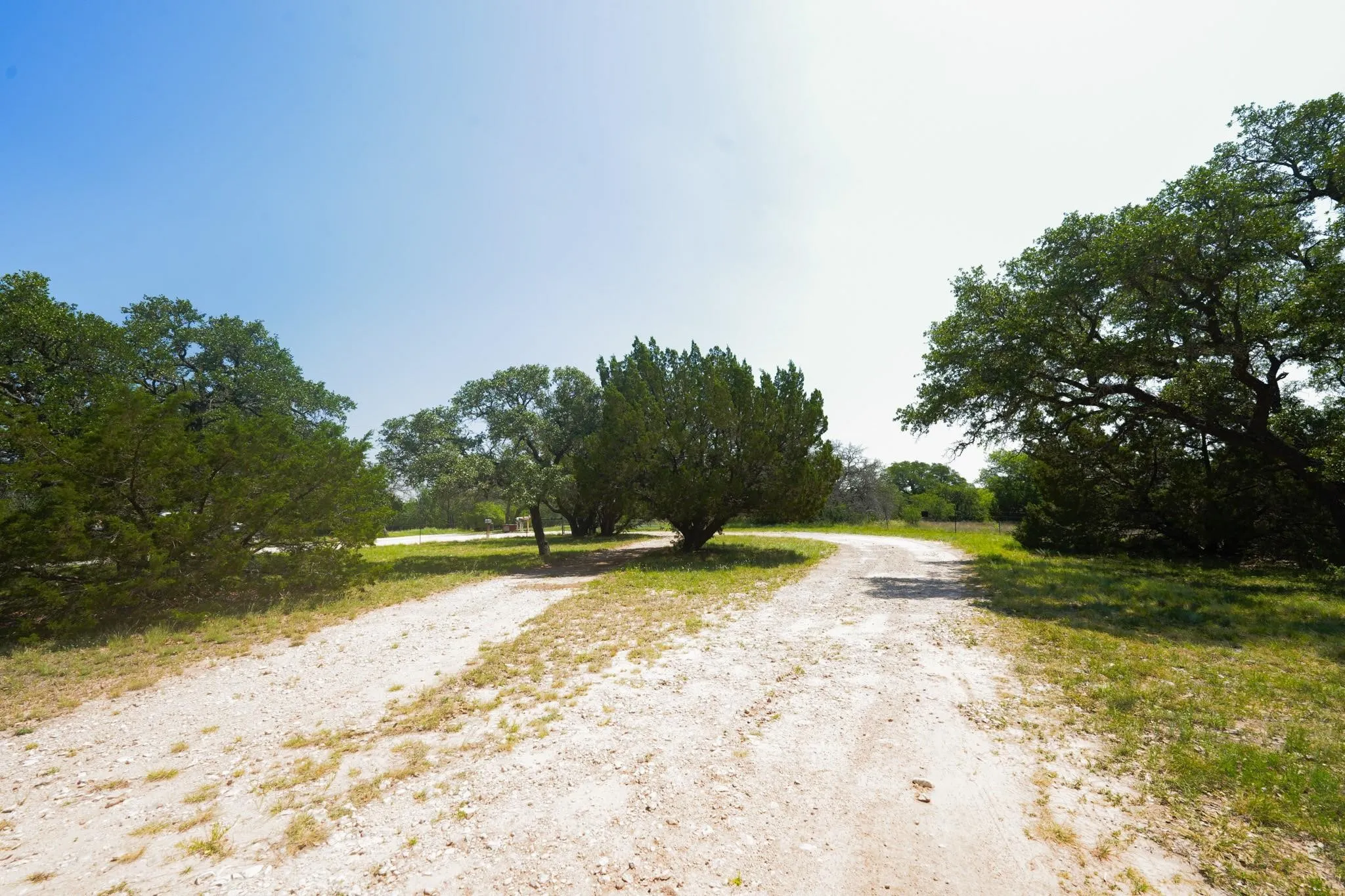 Expansive unpaved path winding through mature trees and natural landscaping