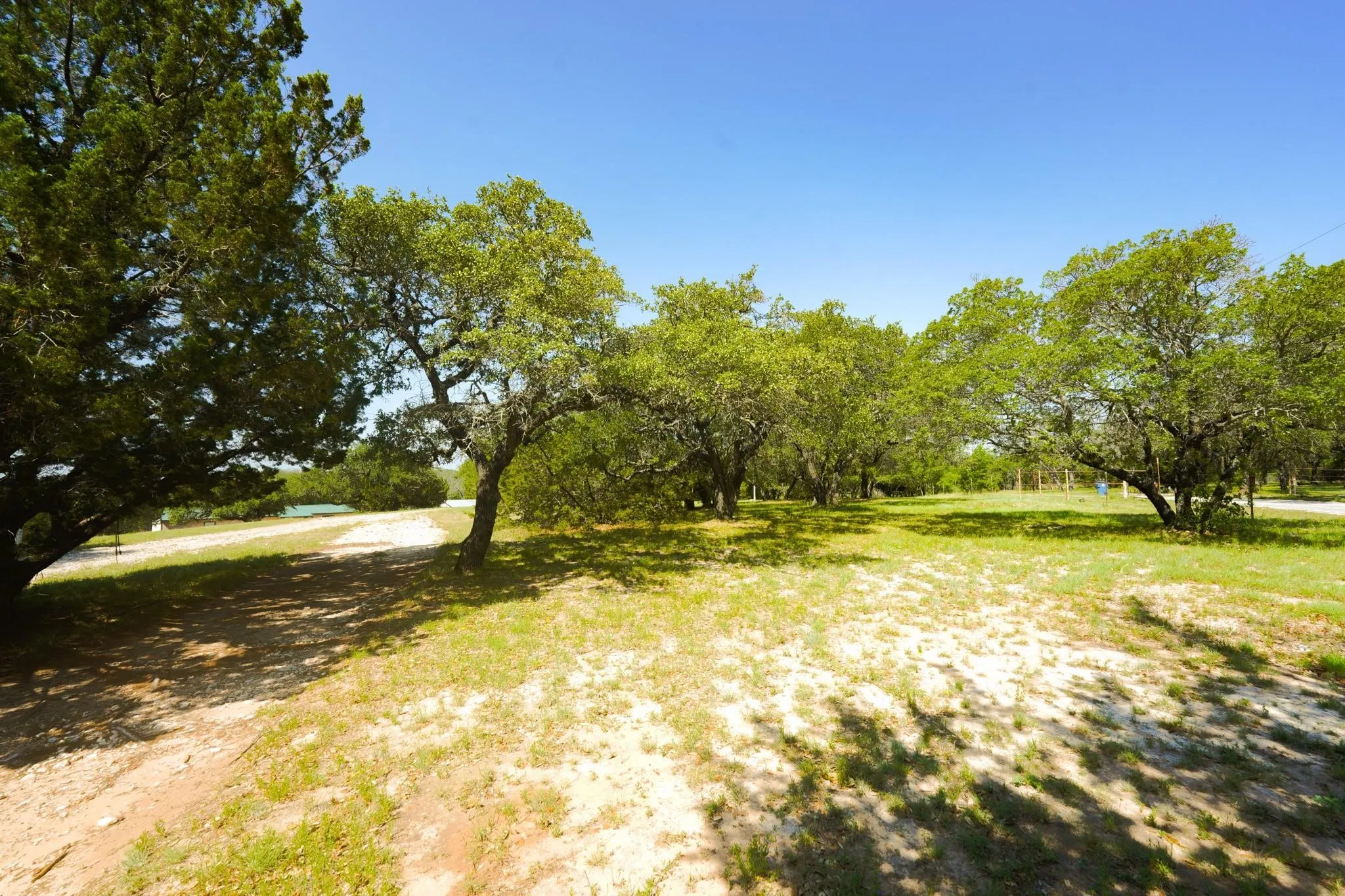 Expansive land parcel featuring mature trees, partial grass coverage, and a distant body of water