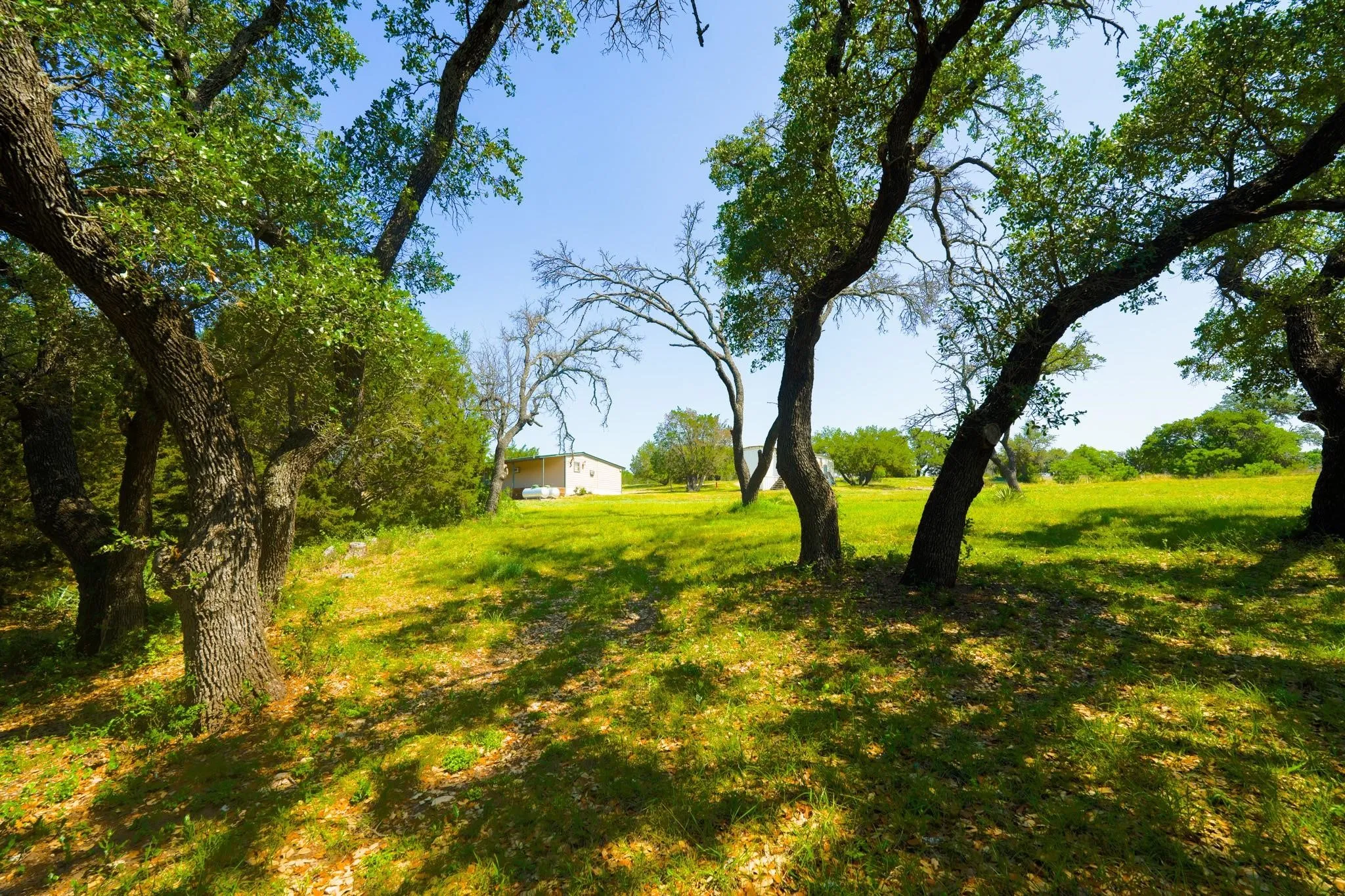 Expansive green acreage featuring mature trees and a distant structure