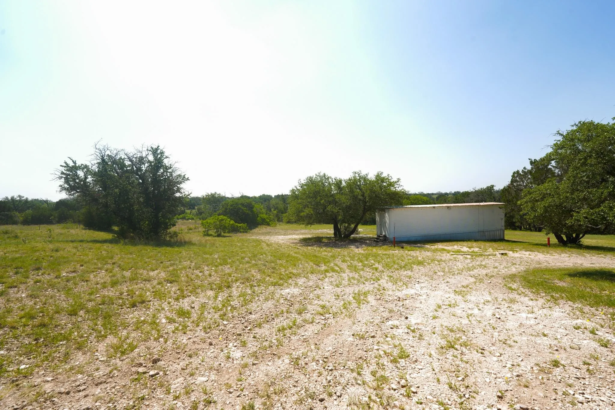 Expansive, undeveloped land featuring a gravel drive and scattered mature trees