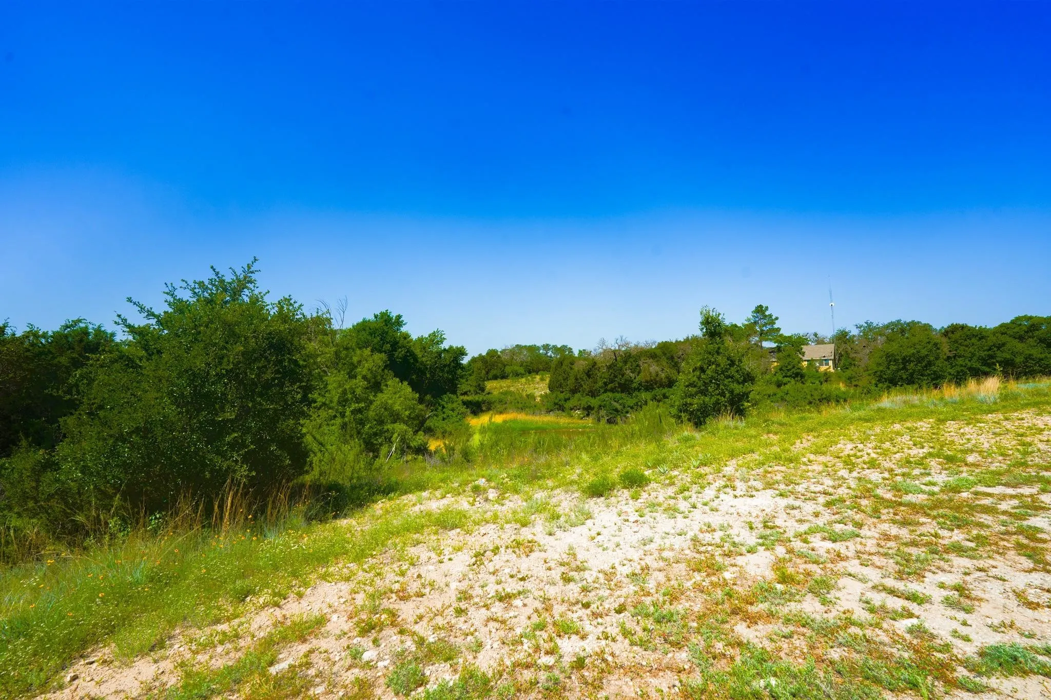 Expansive undeveloped land featuring a combination of natural foliage and clearings