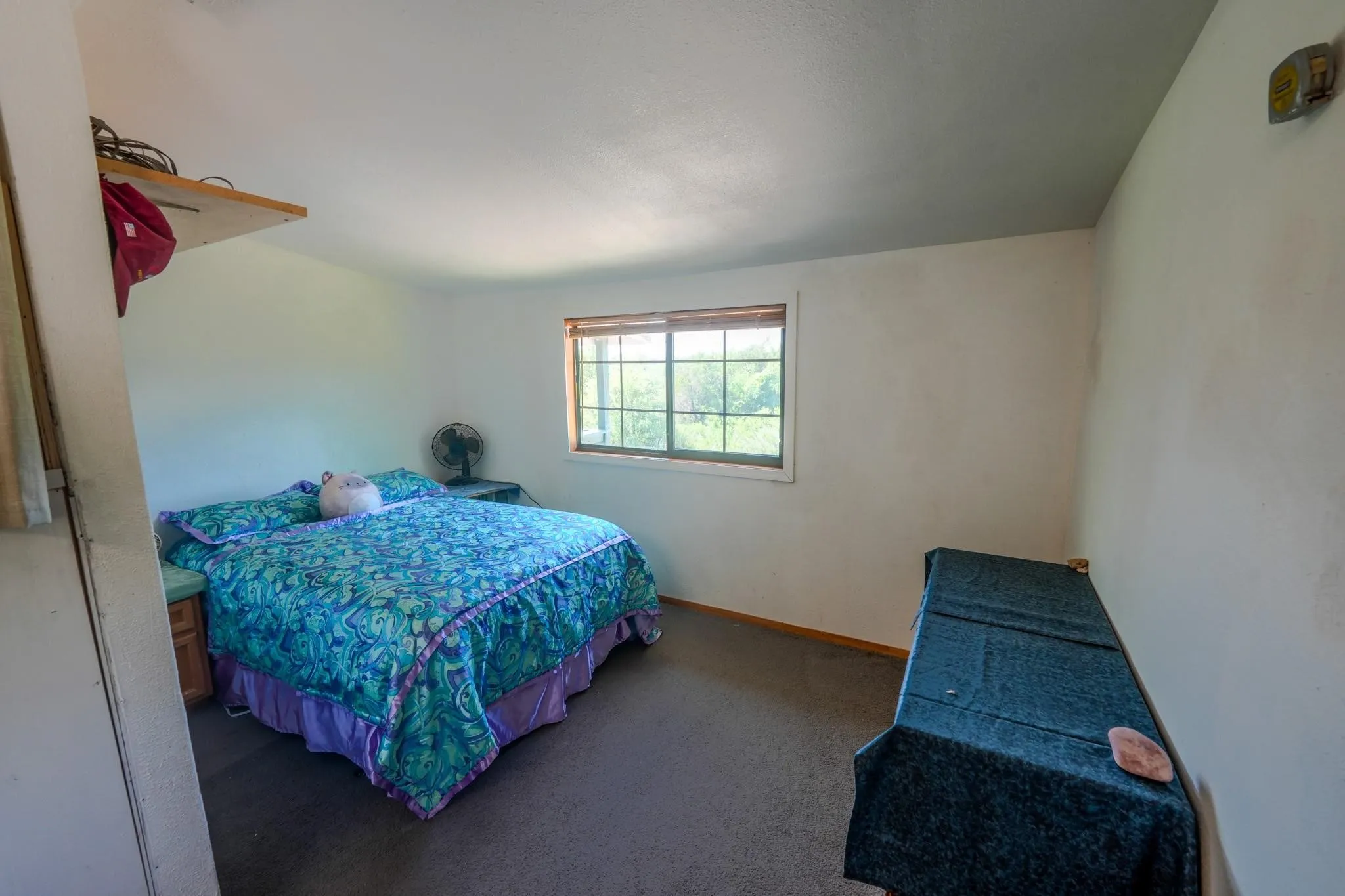 Spacious room featuring a single window with wood trim, neutral wall paint, and gray carpet flooring