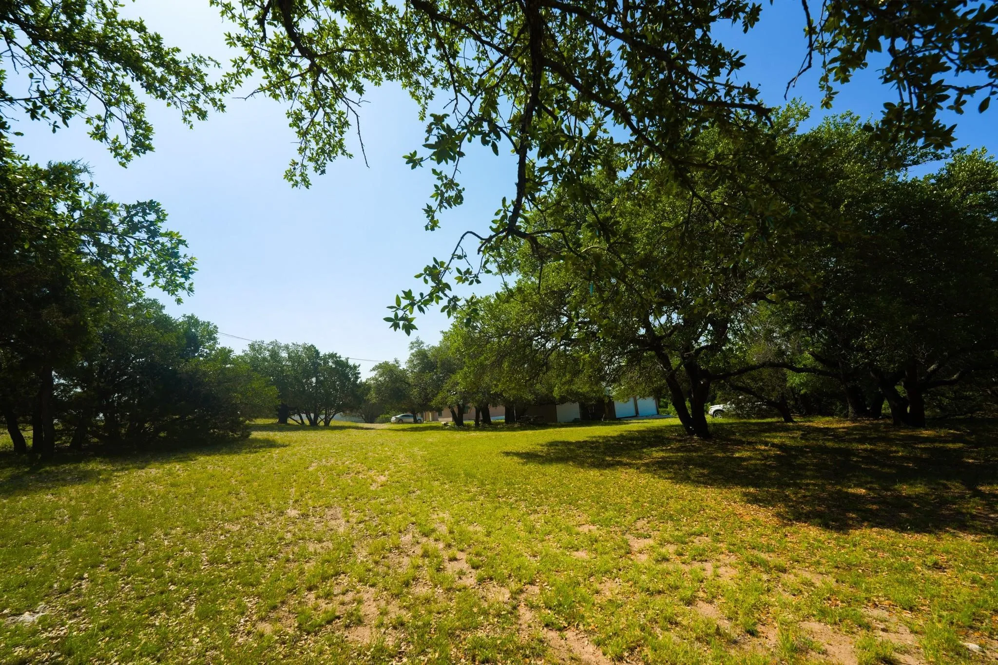 Expansive open lot featuring mature trees and established groundcover